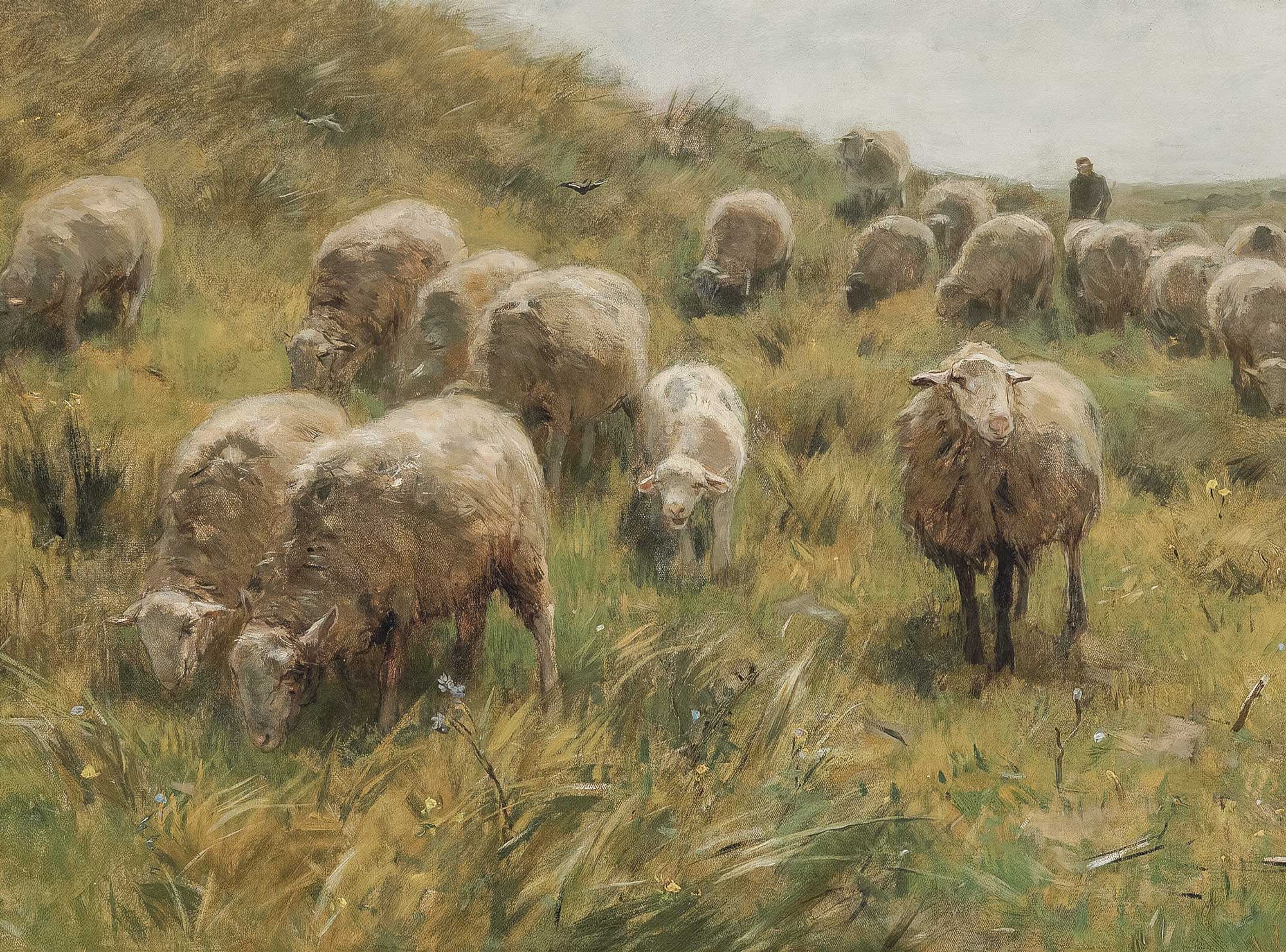 Rustic Sheep Pastoral Print - Modern Farmhouse Decor