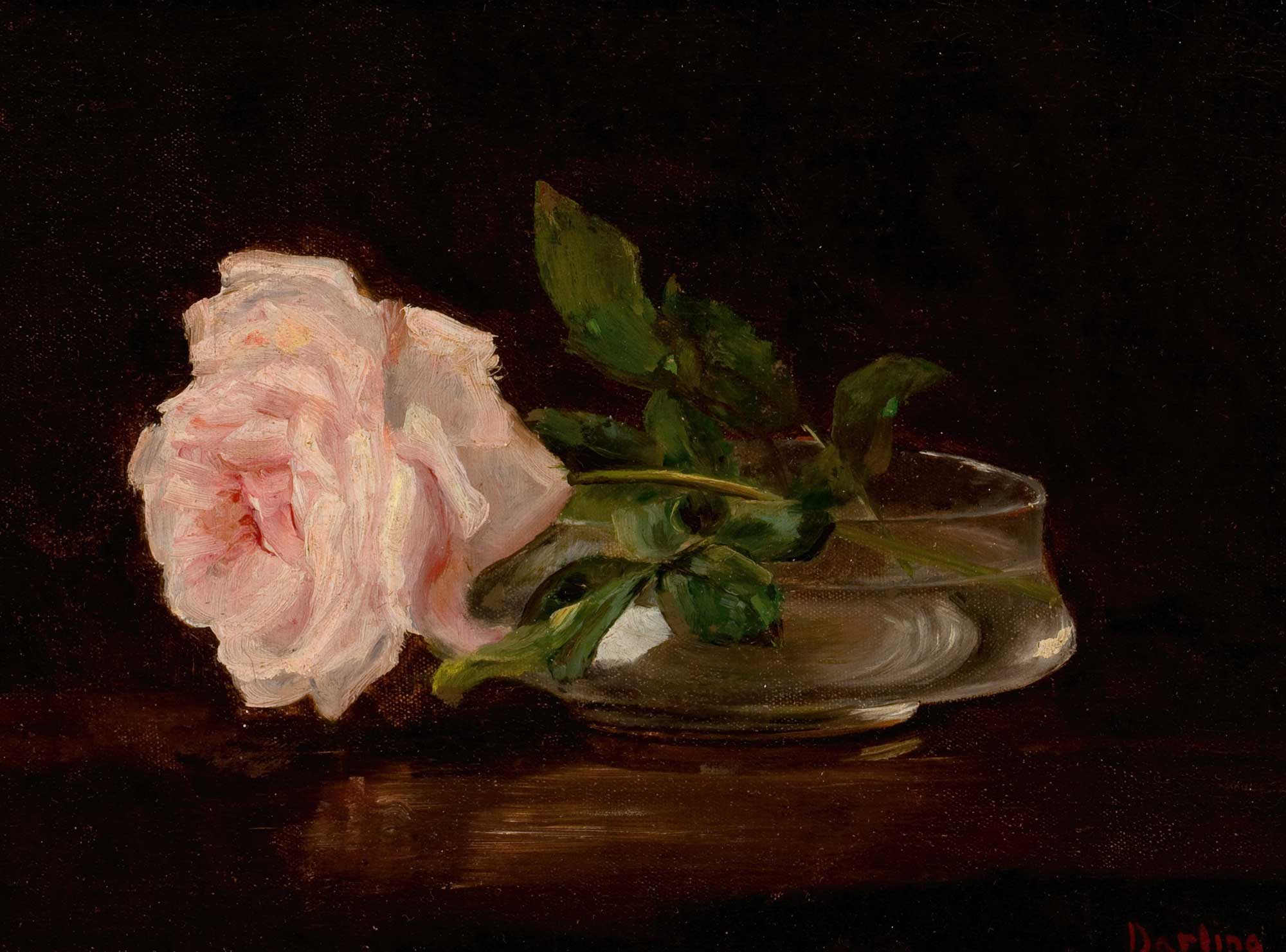 Single Rose in Glass Vase Fine Art Print