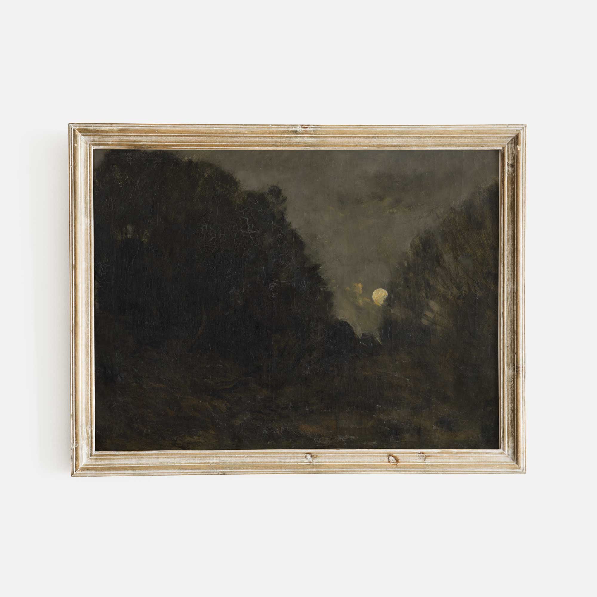 Dark and Moody Forest Scene Print