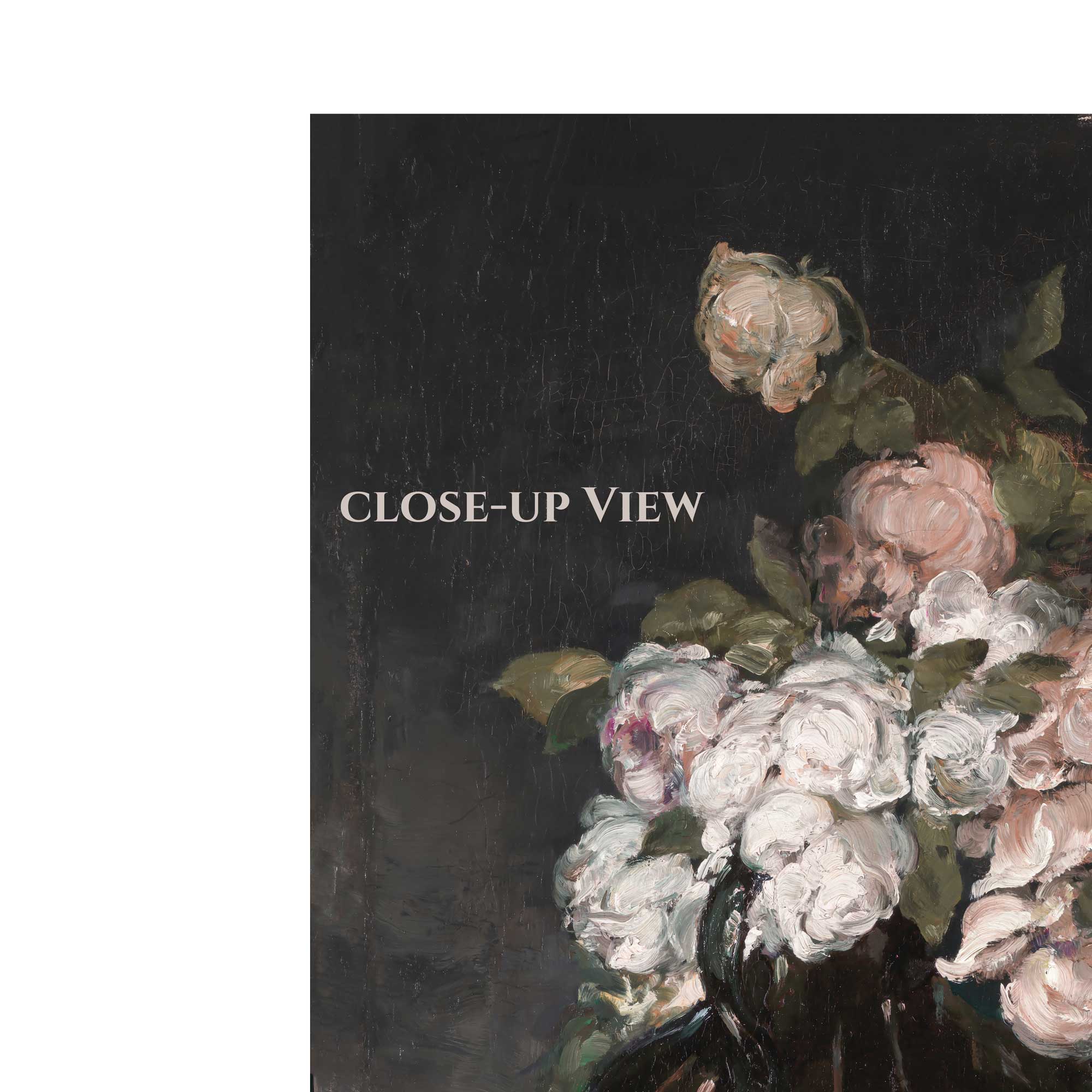 Close-up view of moody flowers on dark background