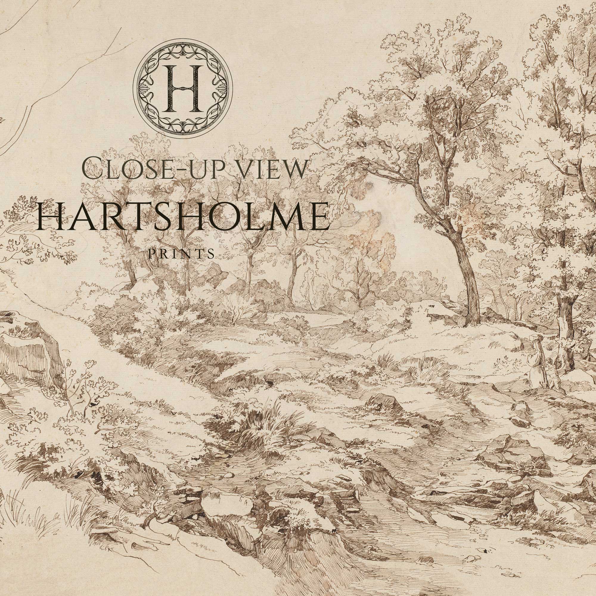 close-up view landscape drawing print with trees and a path, featuring the 'Hartsholme Prints' branding.