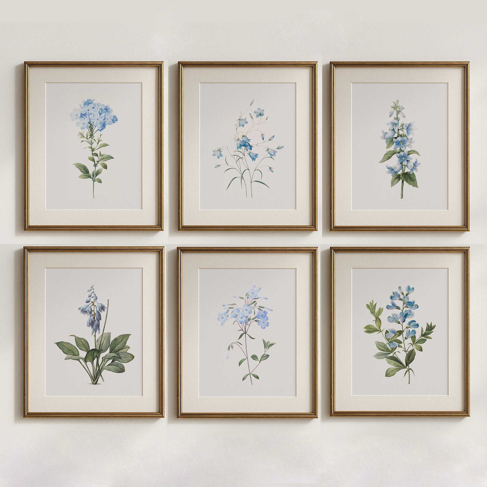 Set of 6 vintage blue botanical prints framed as gallery wall