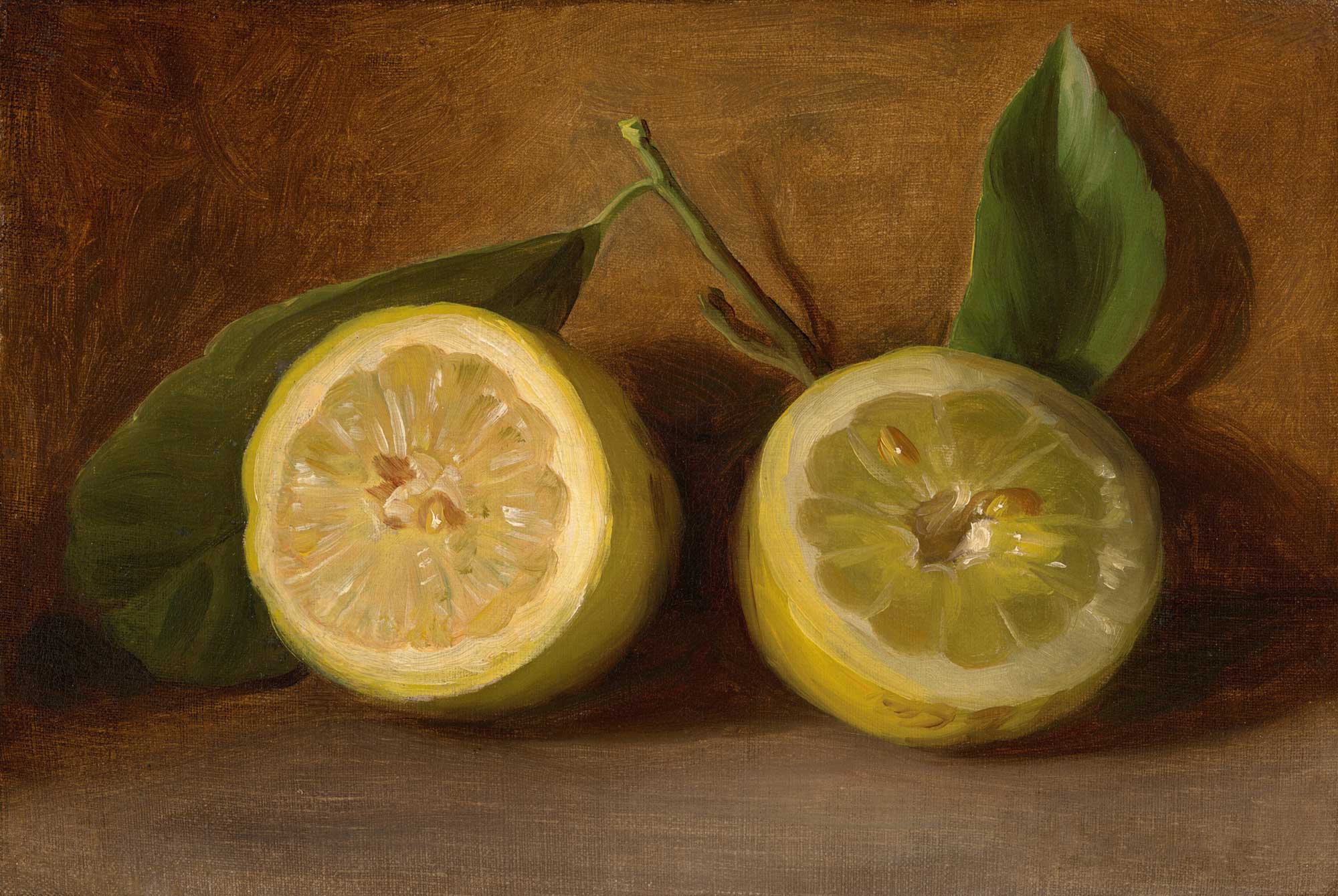 Still life painting of two lemons with green leaves on a brown background