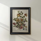 Framed botanical print of flowers on a white wall