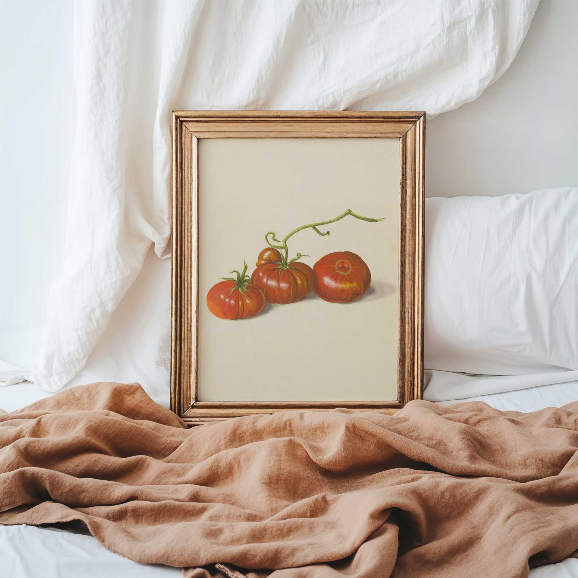 Vintage heirloom tomato botanical illustration print with three ripe tomatoes and curling vines on cream background