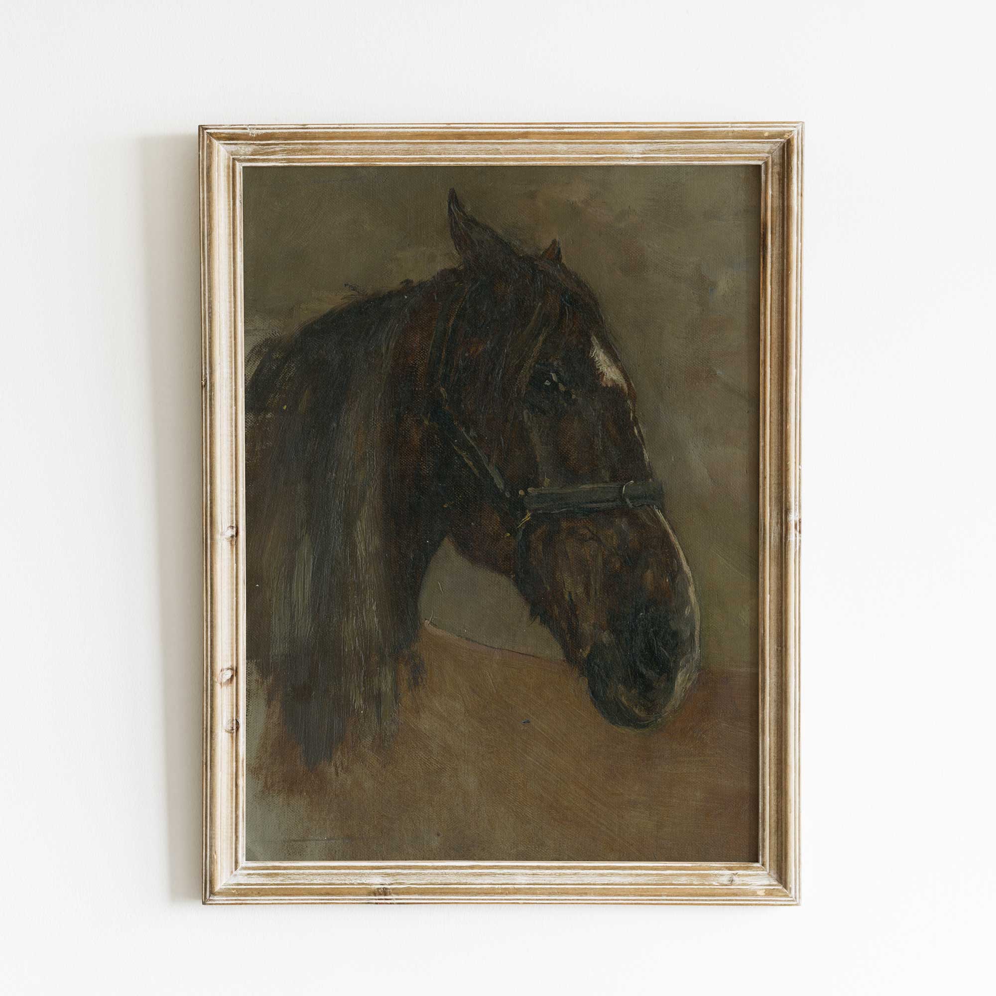 Dark Brown Horse Portrait Print