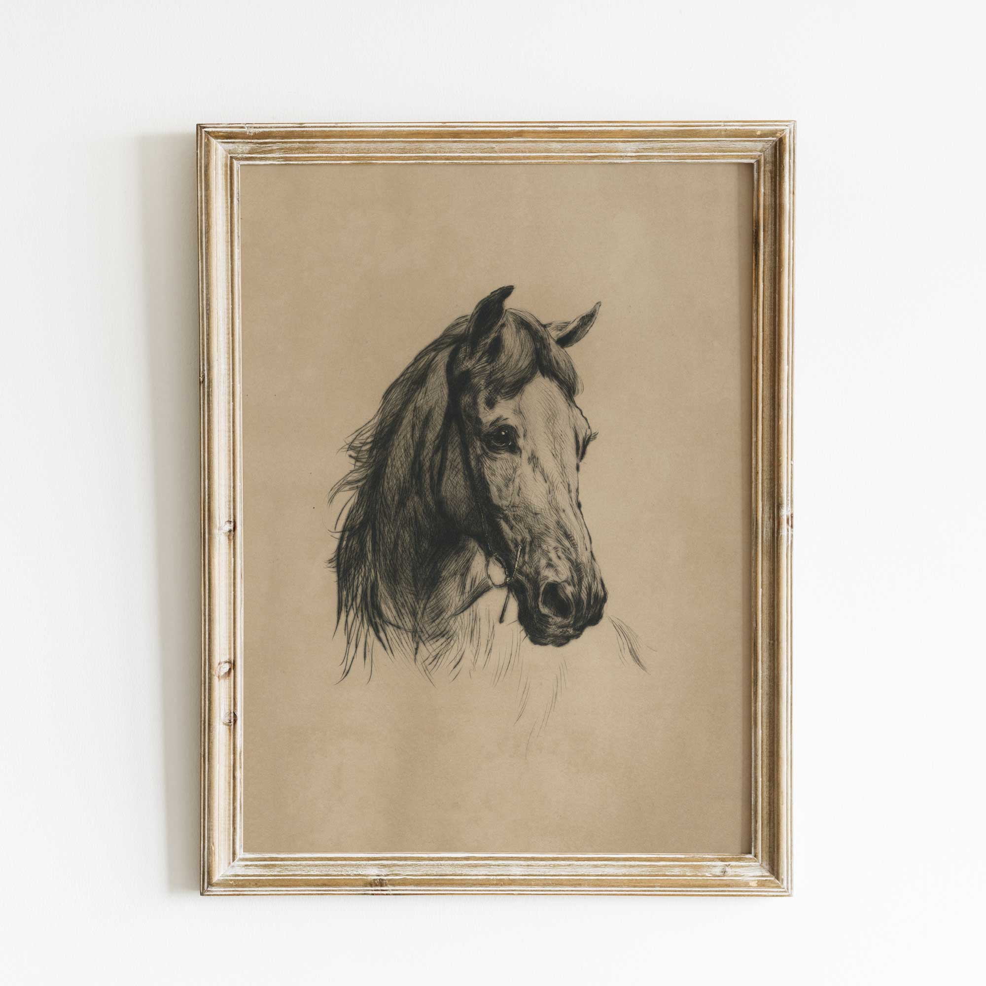 Framed drawing of a horse's head on a beige background