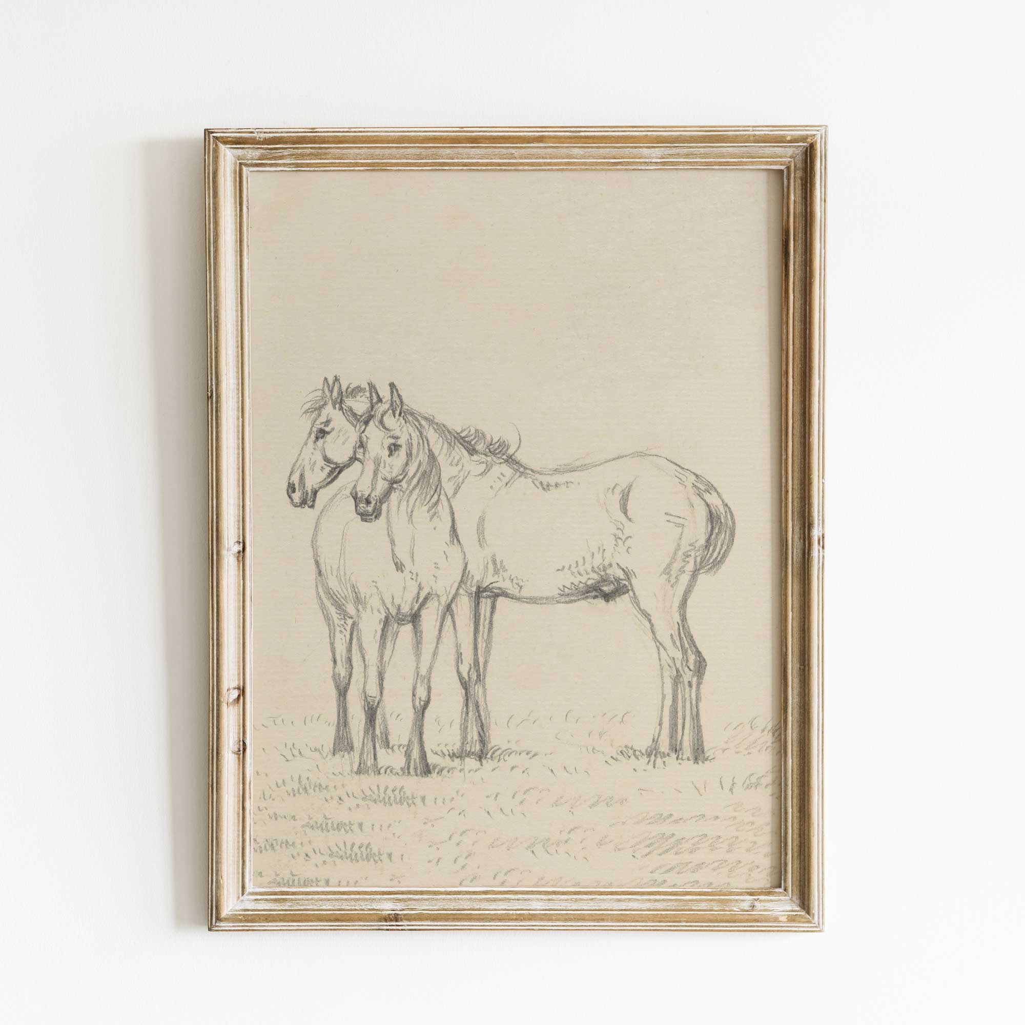 Framed artwork of two horses on a white background
