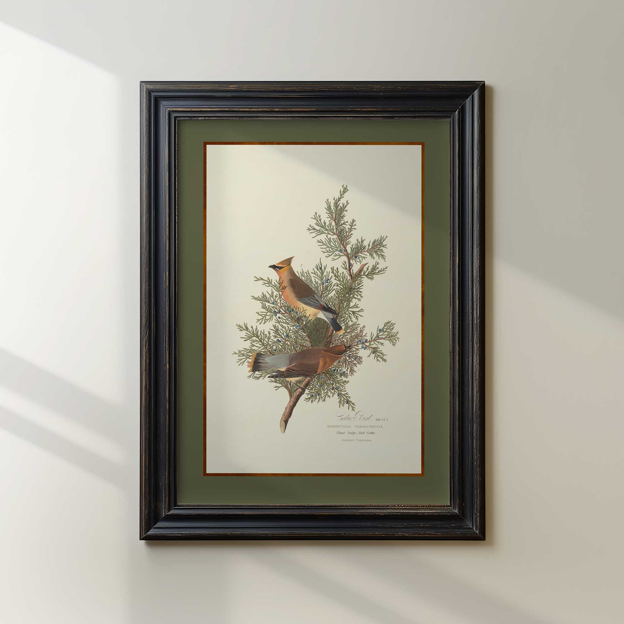 Framed artwork of two birds perched on a branch with leaves on a white wall.