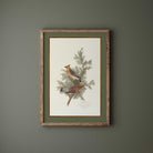 Framed artwork of birds on a branch against a green wall