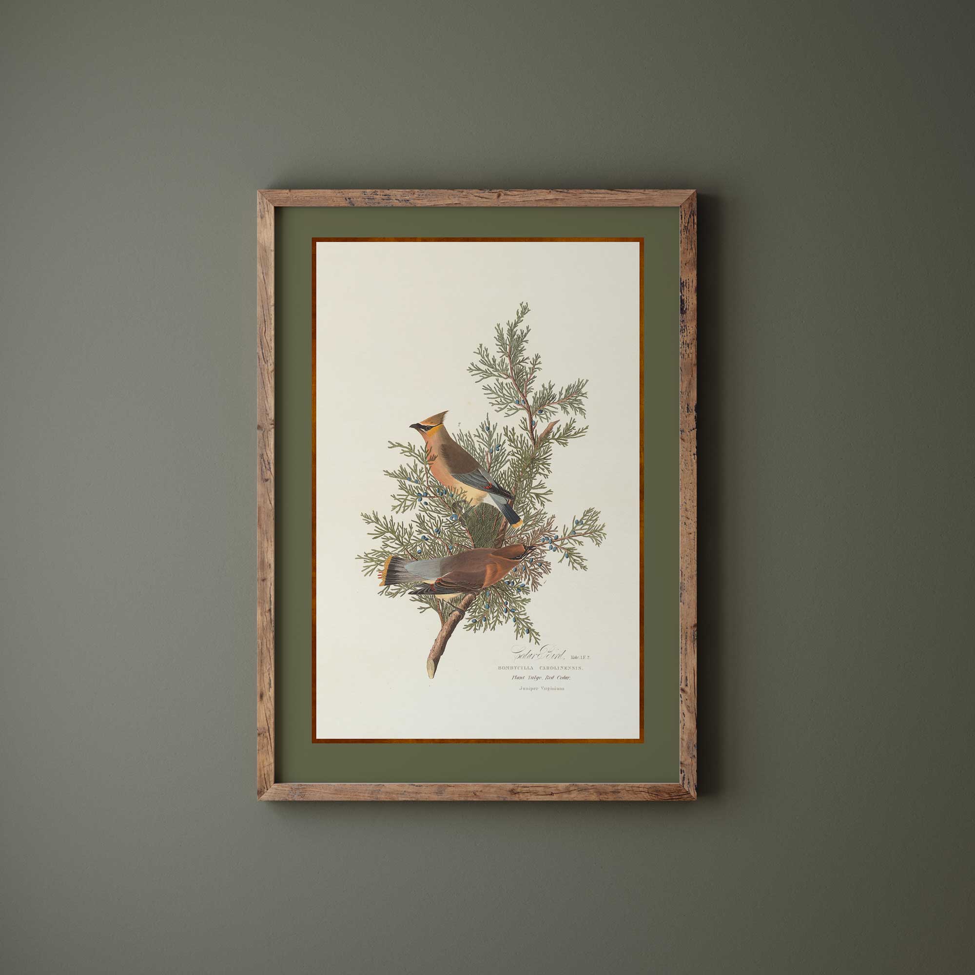 Framed artwork of birds on a branch against a green wall