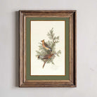 Framed artwork of birds on a branch with a green border