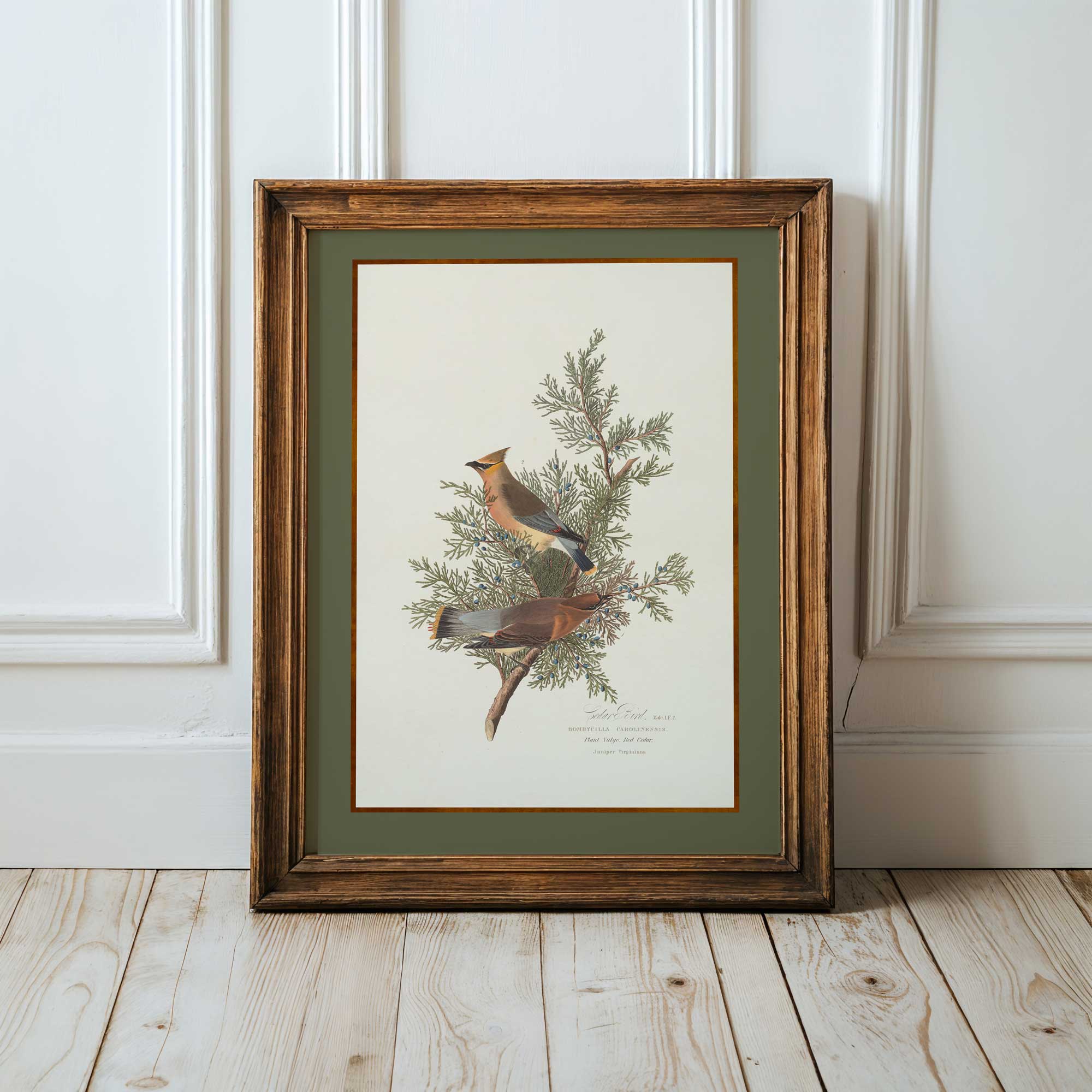 Framed artwork of two birds on a branch against a white wall.