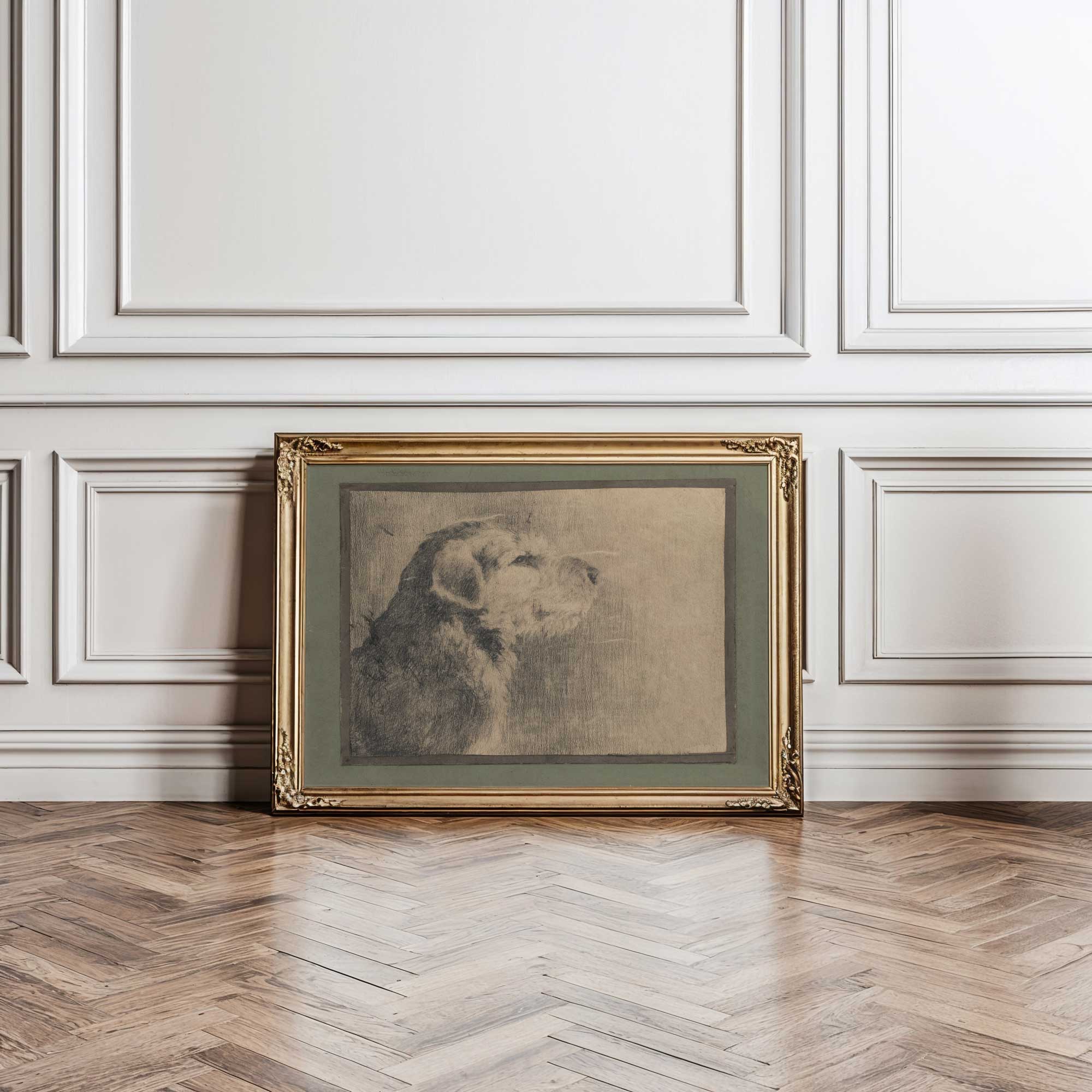 Framed artwork of a dog's portrait on a wooden floor with white paneled walls.