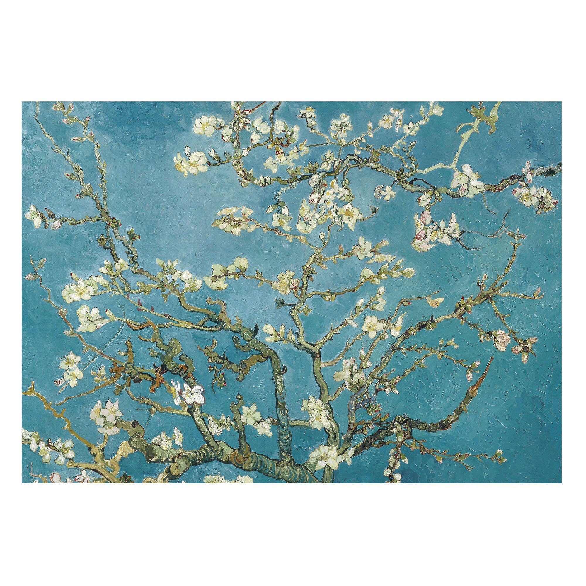 Almond Blossom by Vincent Van Gogh - Hartsholme Prints