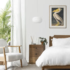 American White Pelican Print from Birds of America by John James Audubon - Hartsholme Prints