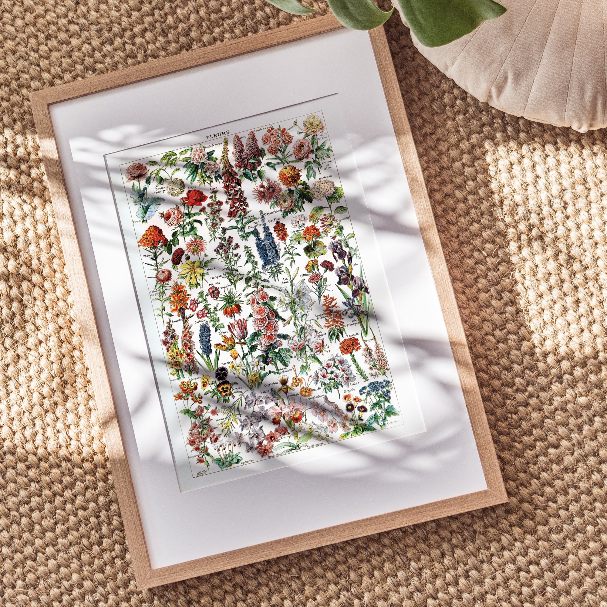 Botanica Fleur - Hartsholme Prints