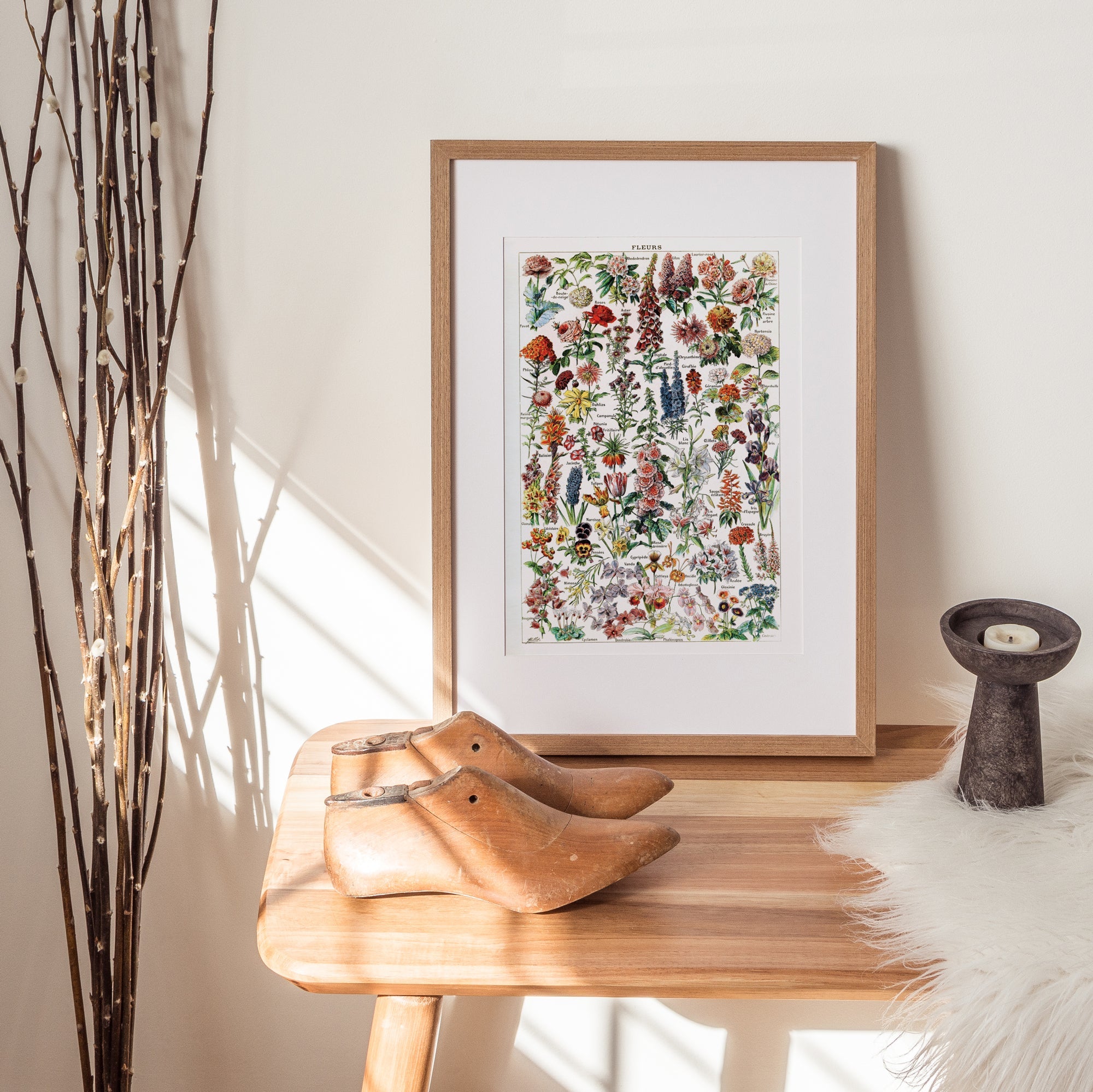 Botanica Fleur - Hartsholme Prints
