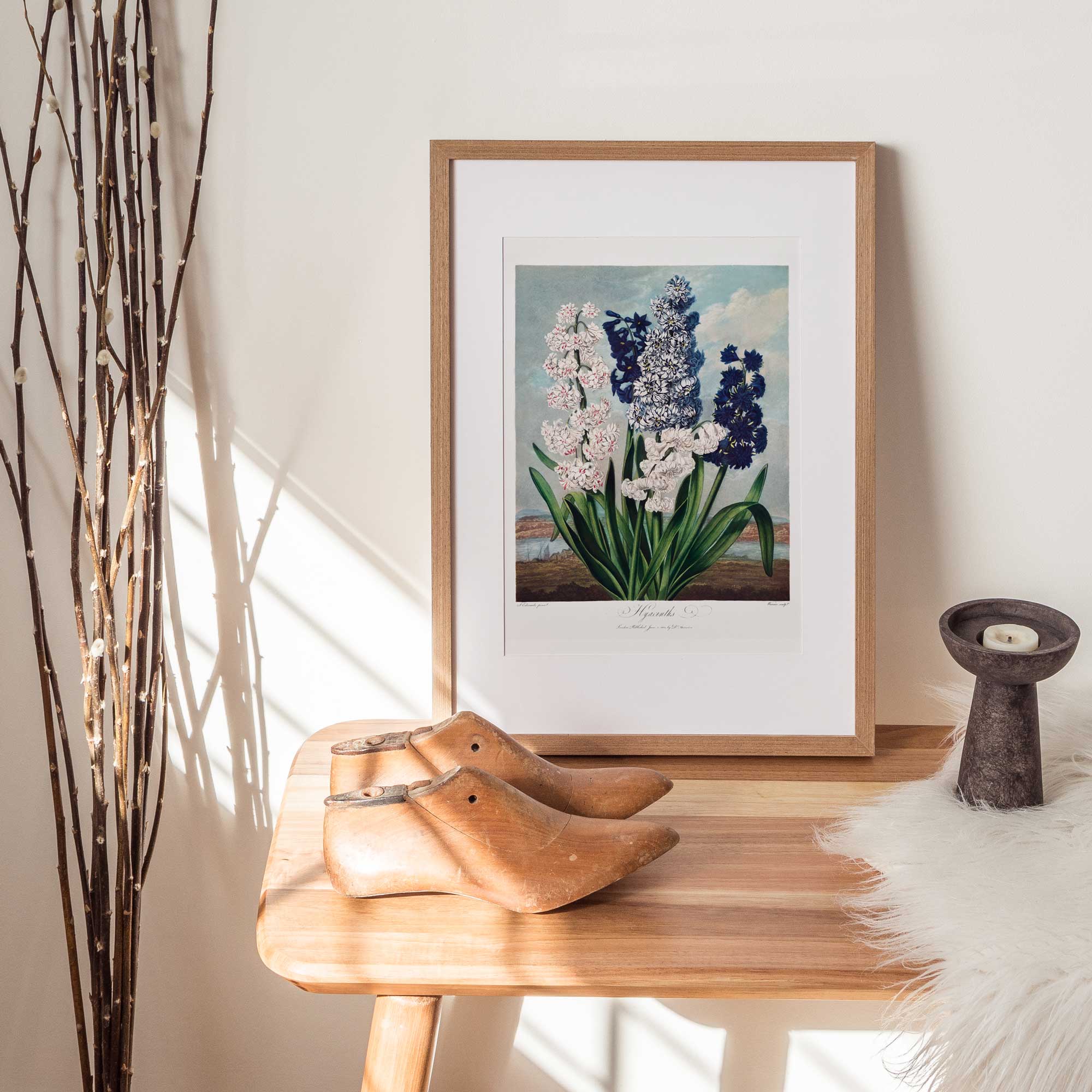 Botanica Hyacinths - Hartsholme Prints