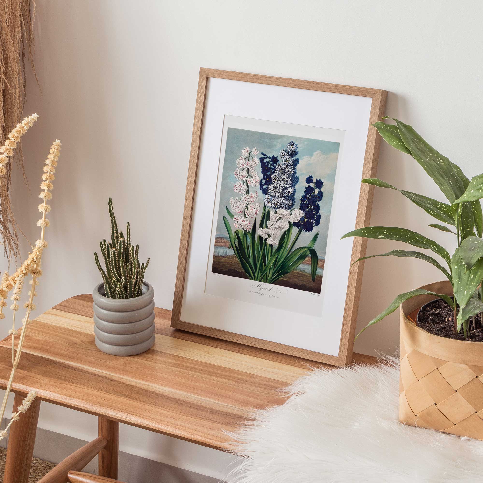 Botanica Hyacinths - Hartsholme Prints