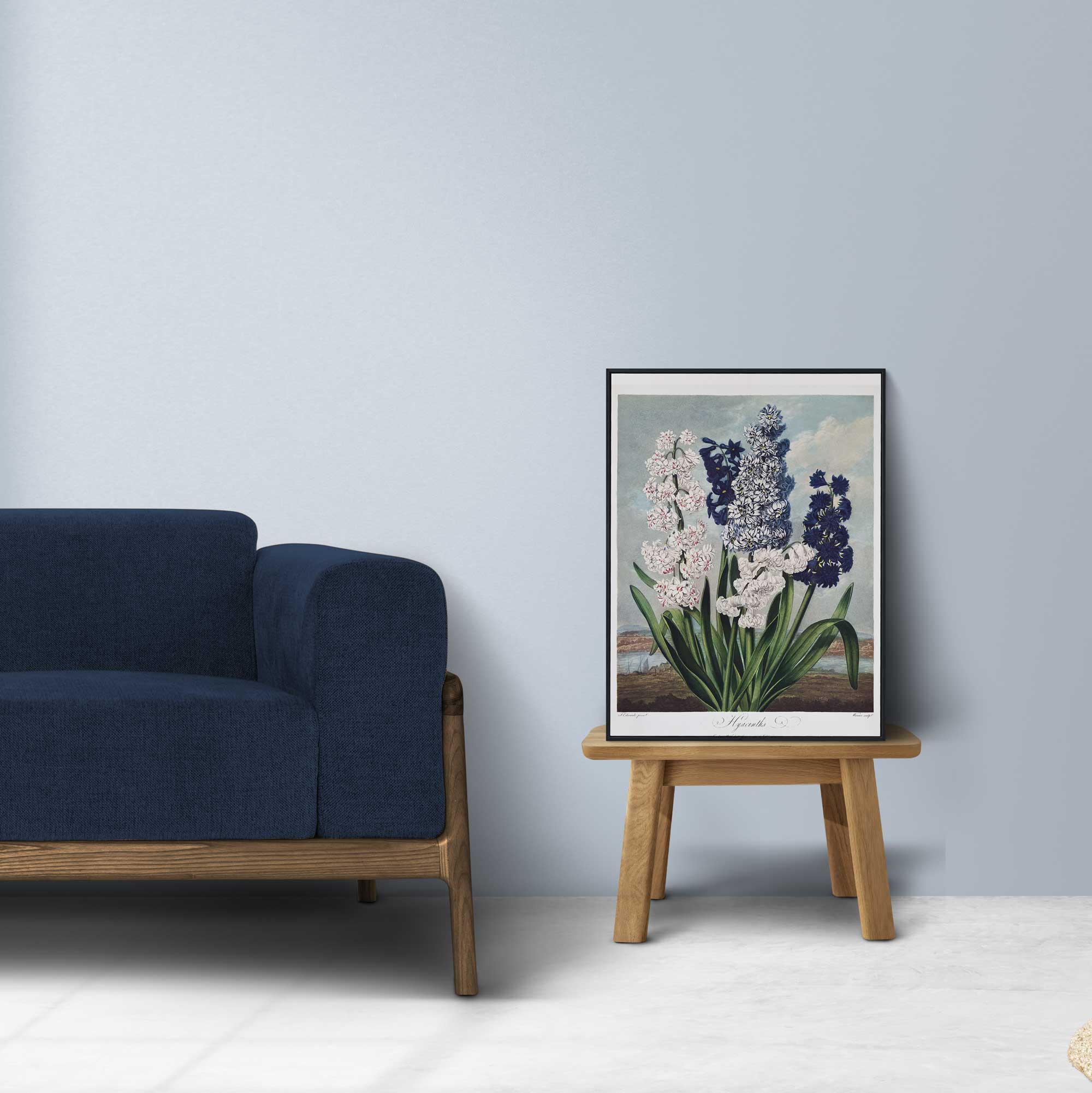 Botanica Hyacinths - Hartsholme Prints