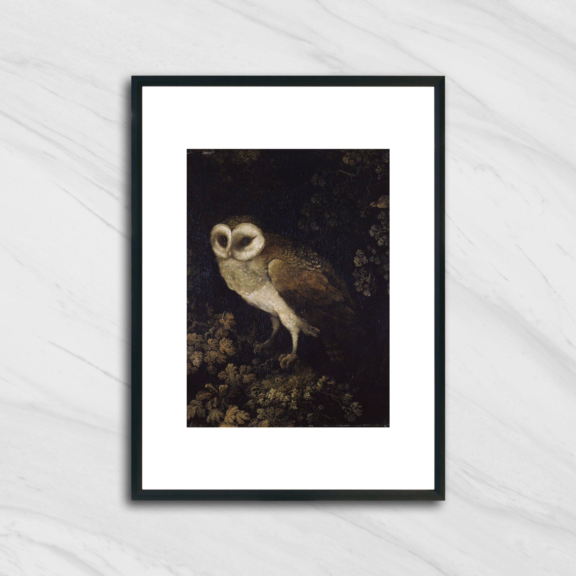 Dark Moody Owl in the Forest - Hartsholme Prints