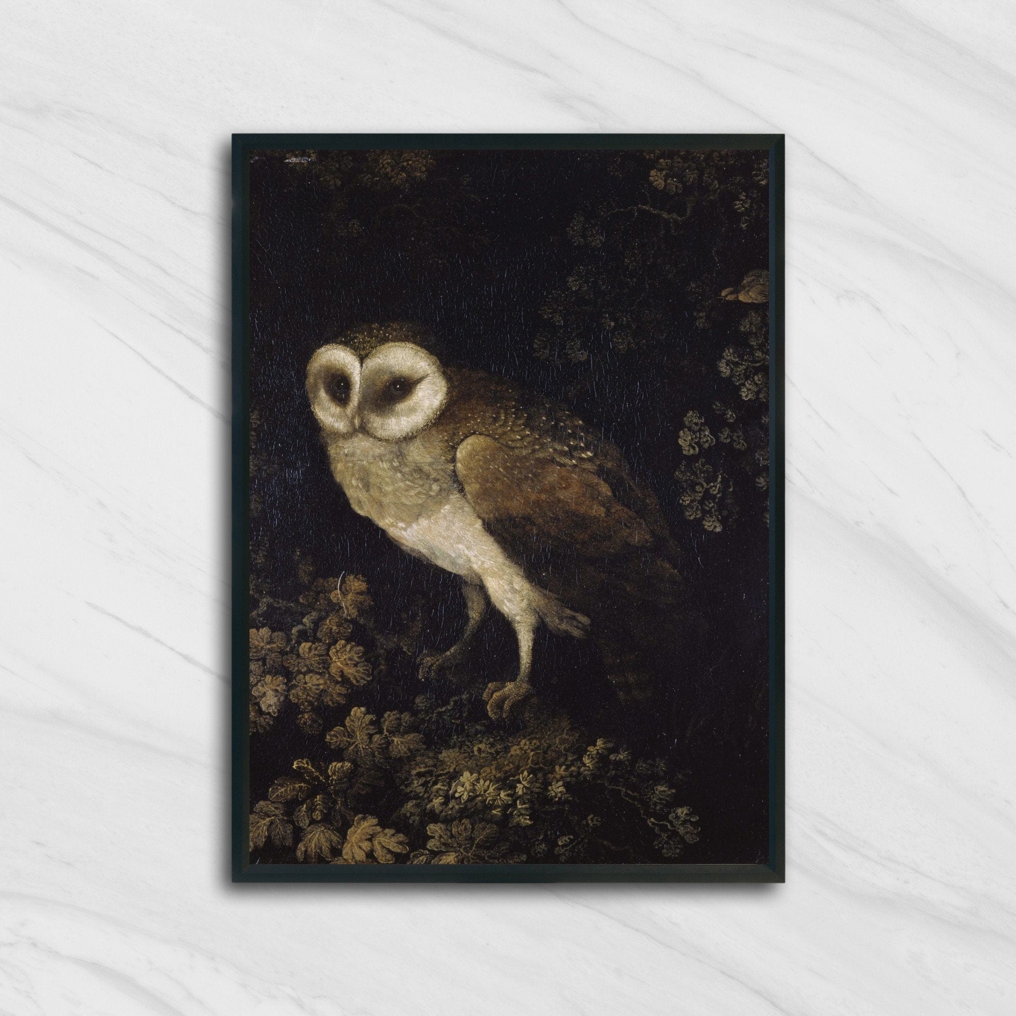 Dark Moody Owl in the Forest - Hartsholme Prints
