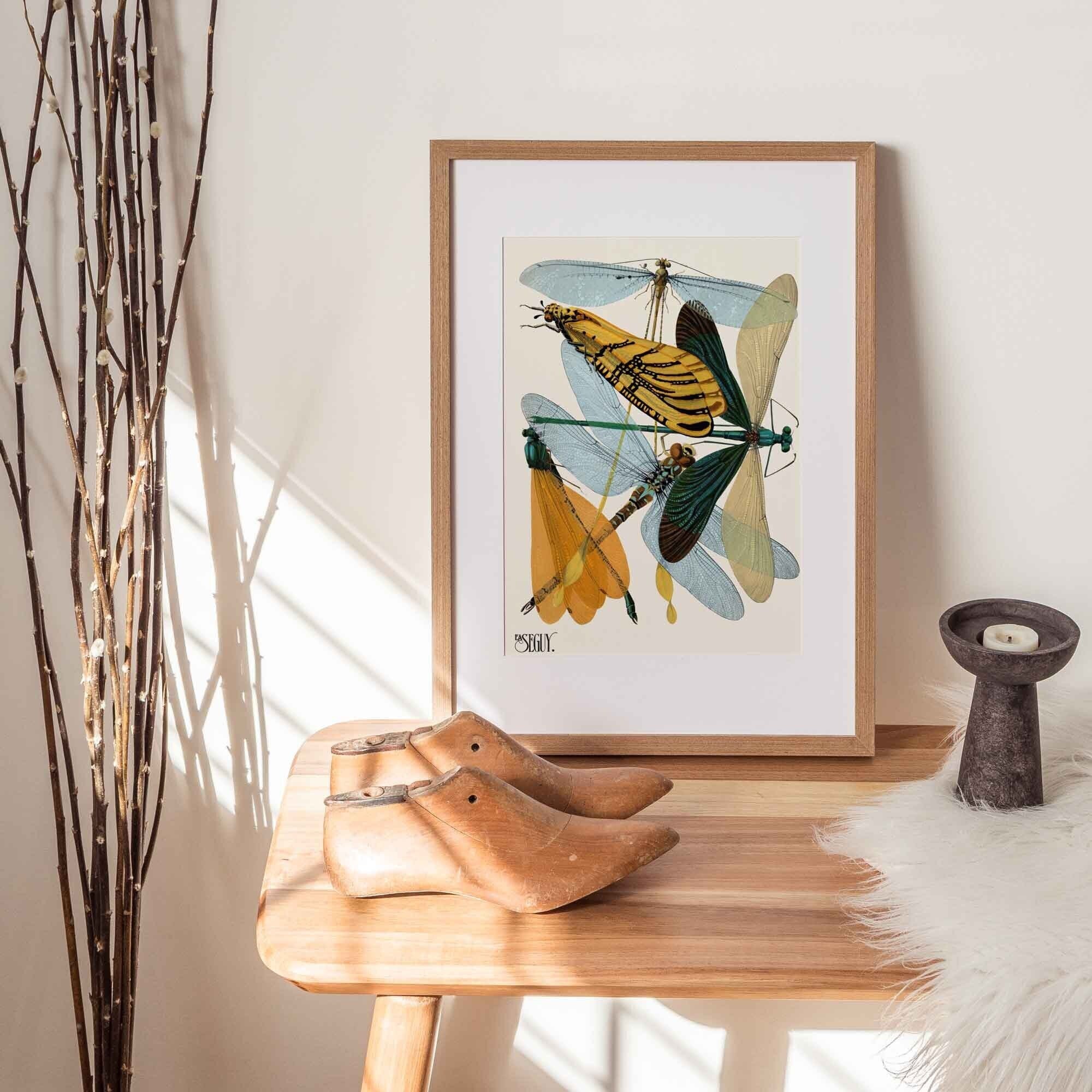 Dragonflies - Hartsholme Prints