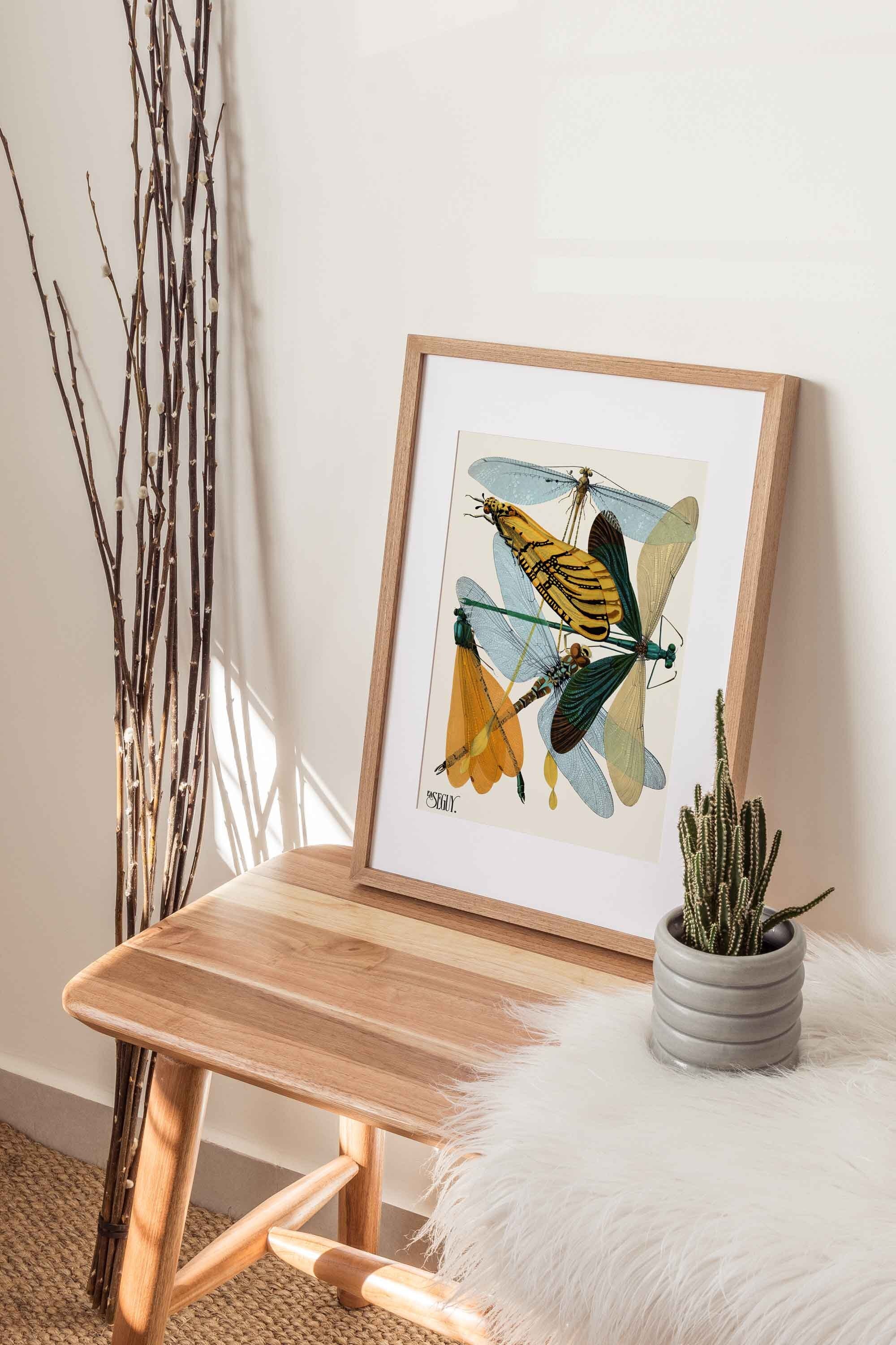 Dragonflies - Hartsholme Prints