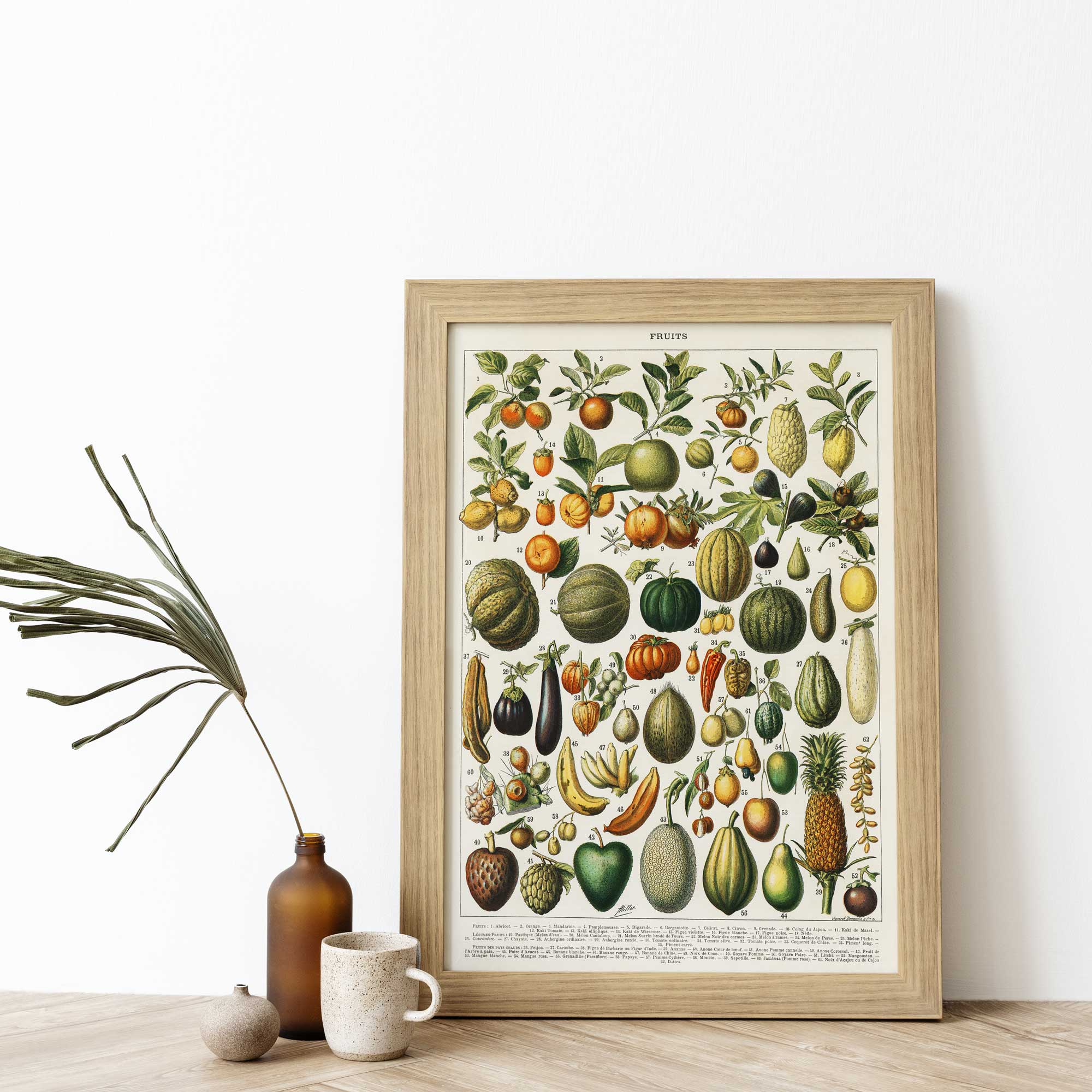Fruit Science Chart - Hartsholme Prints