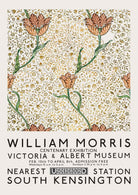 Garden Tulip Exhibition Poster - Hartsholme Prints