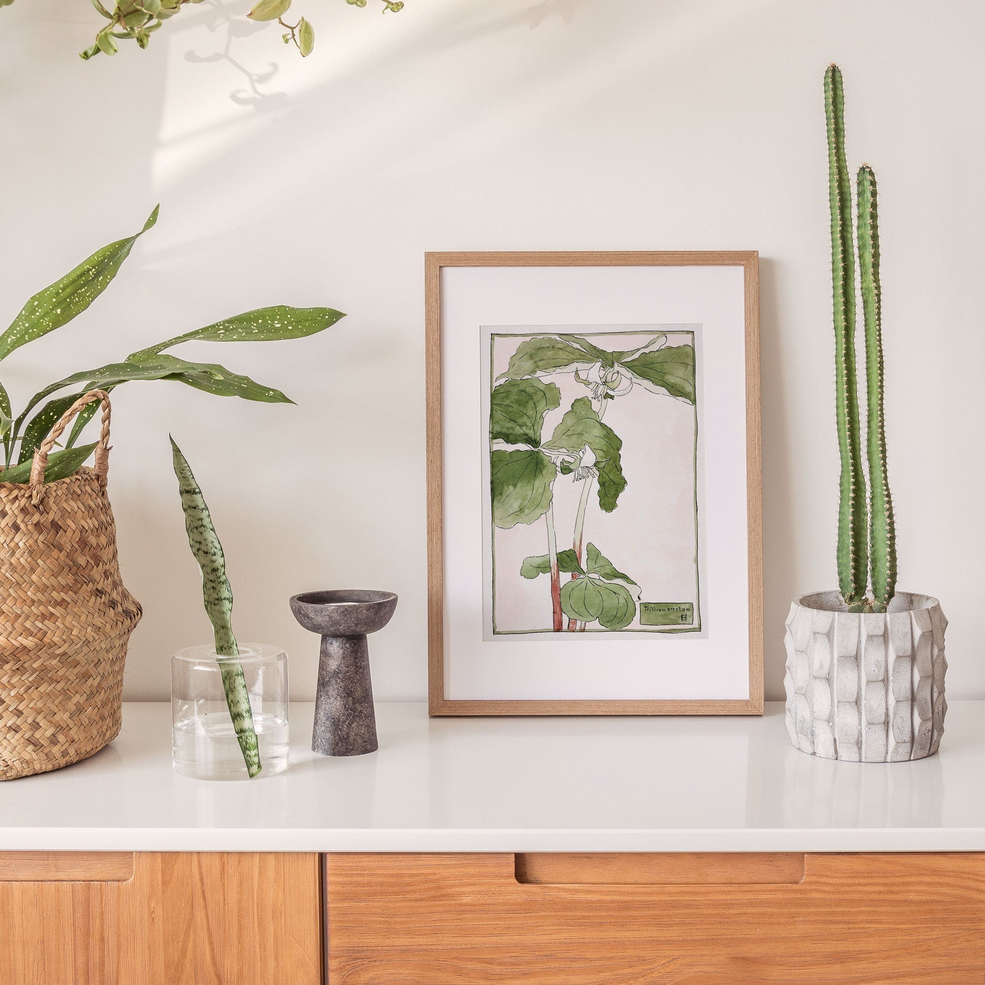 Green Leaf Botanical - Hartsholme Prints