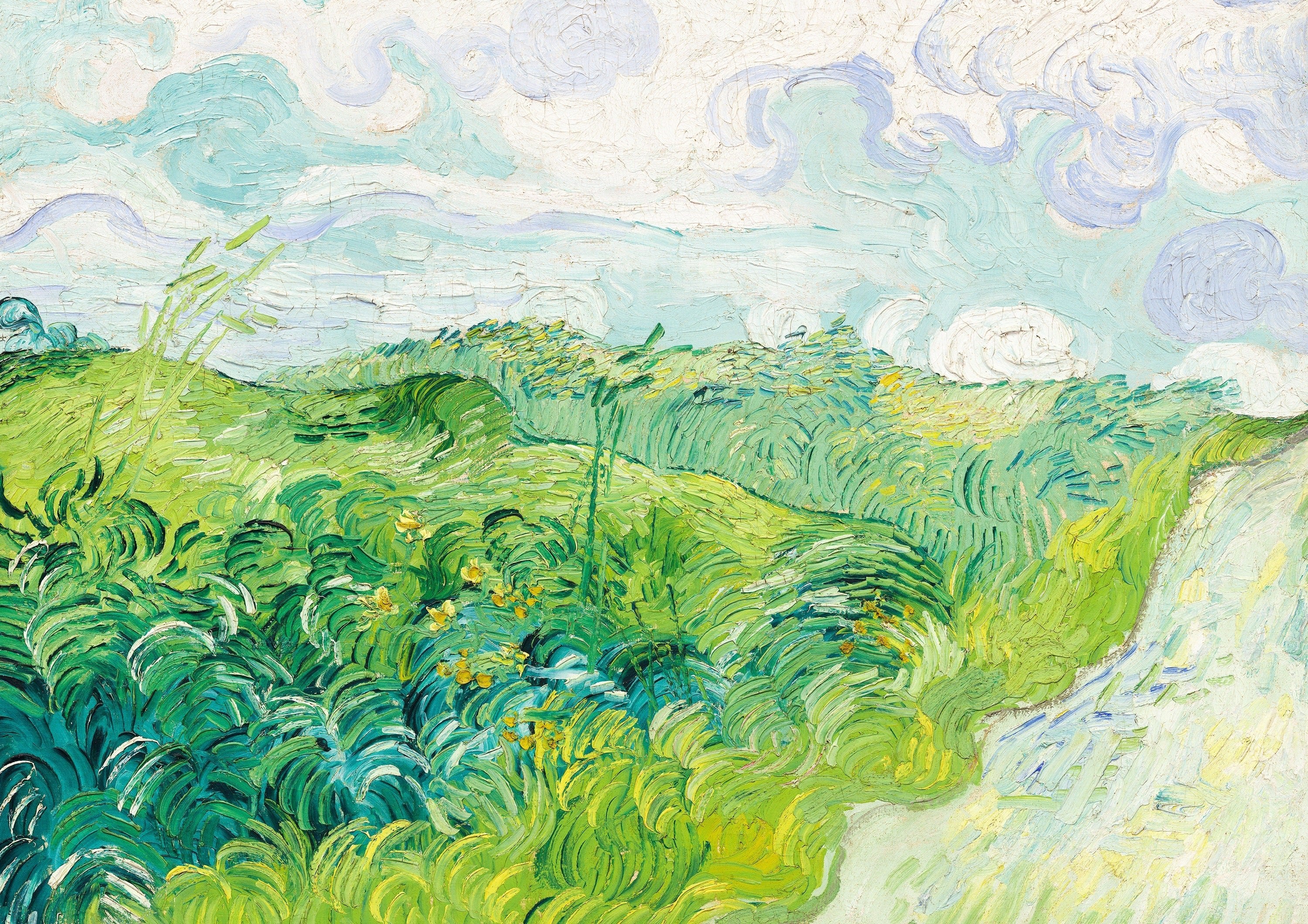 Green Wheat Fields - Hartsholme Prints