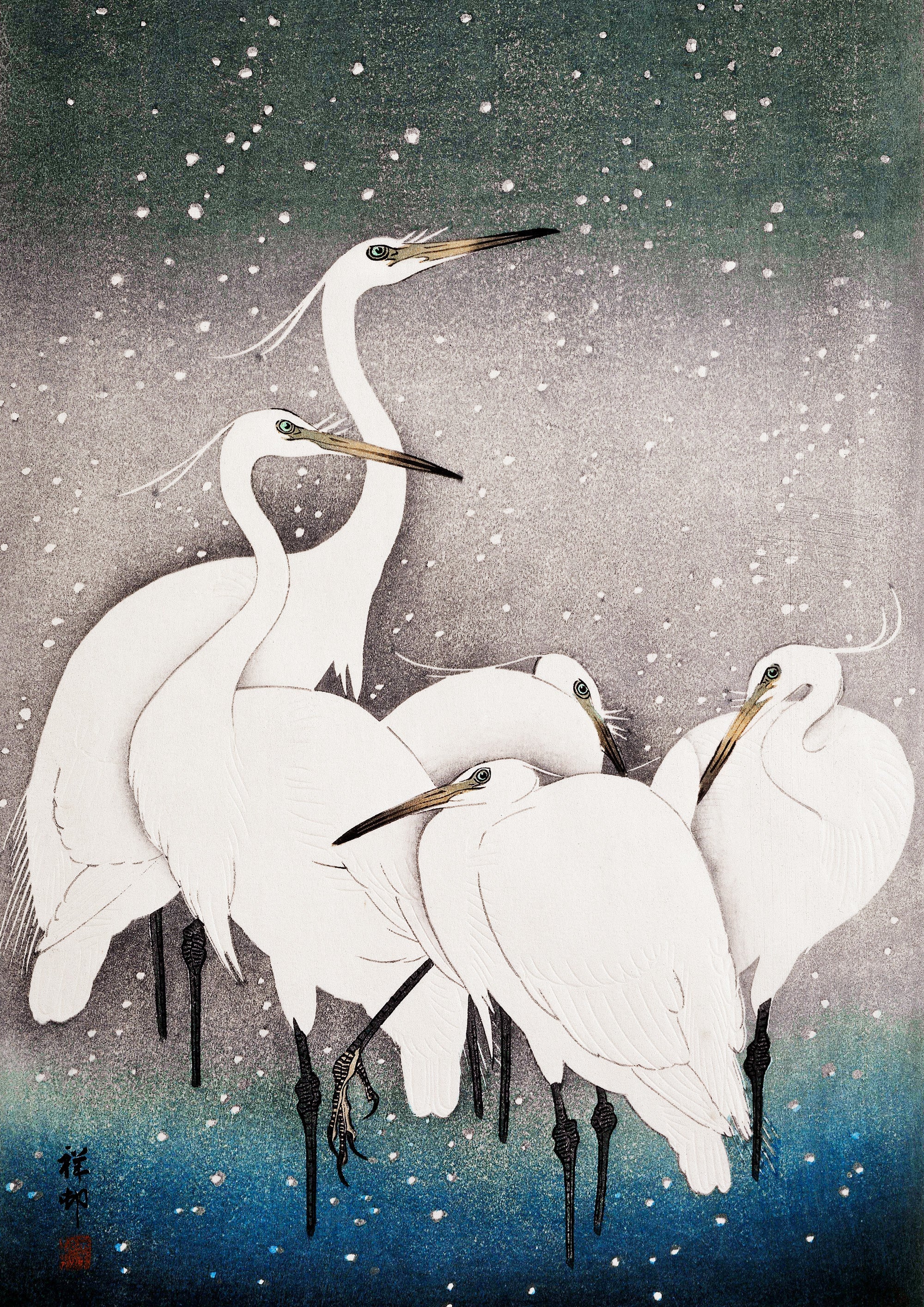 Group of Egrets - Hartsholme Prints