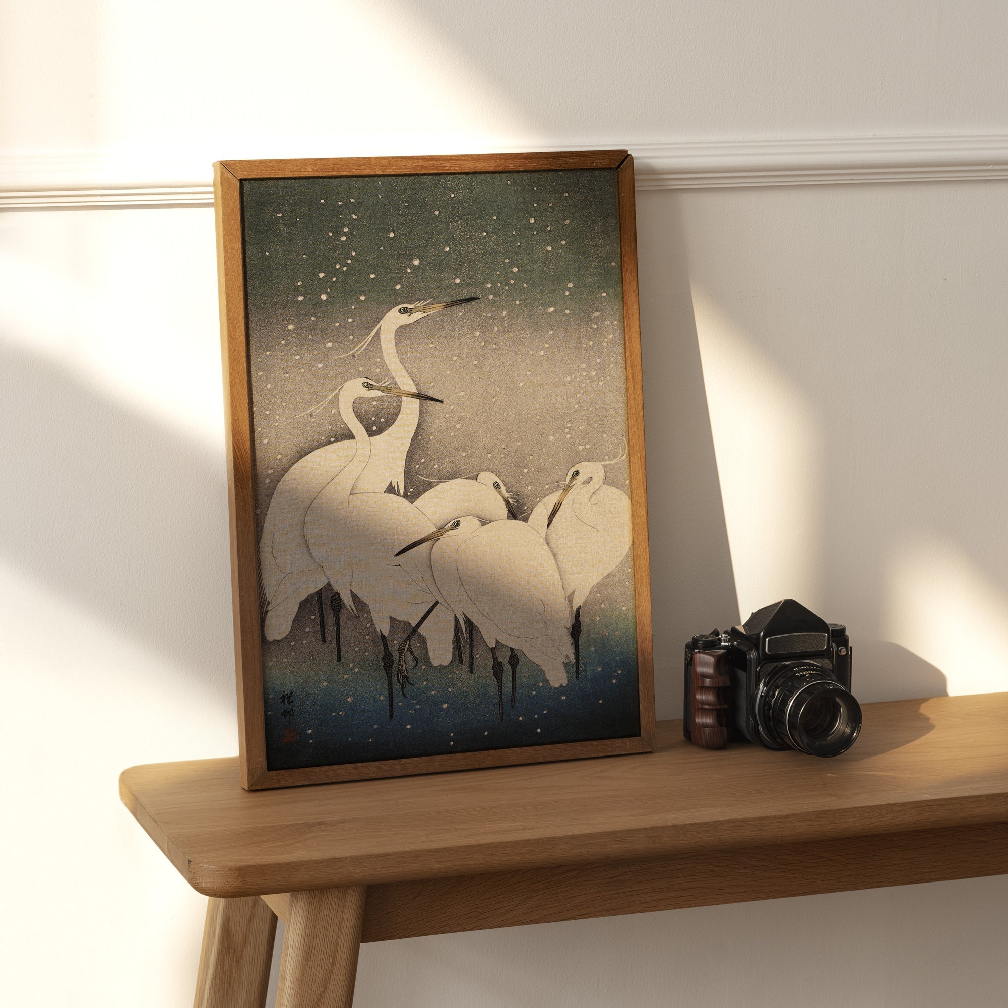 Group of Egrets - Hartsholme Prints