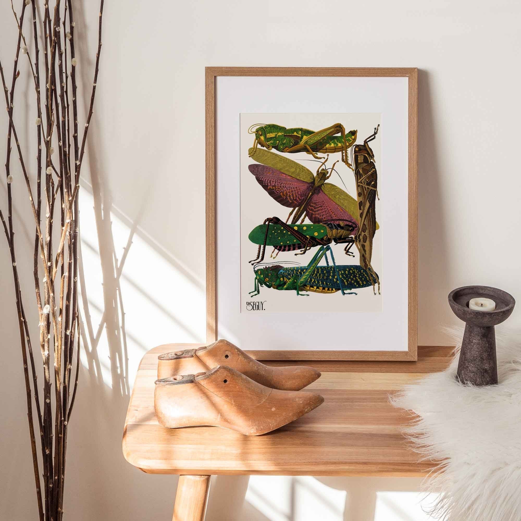 Insects Butterfly Grasshopper - Hartsholme Prints