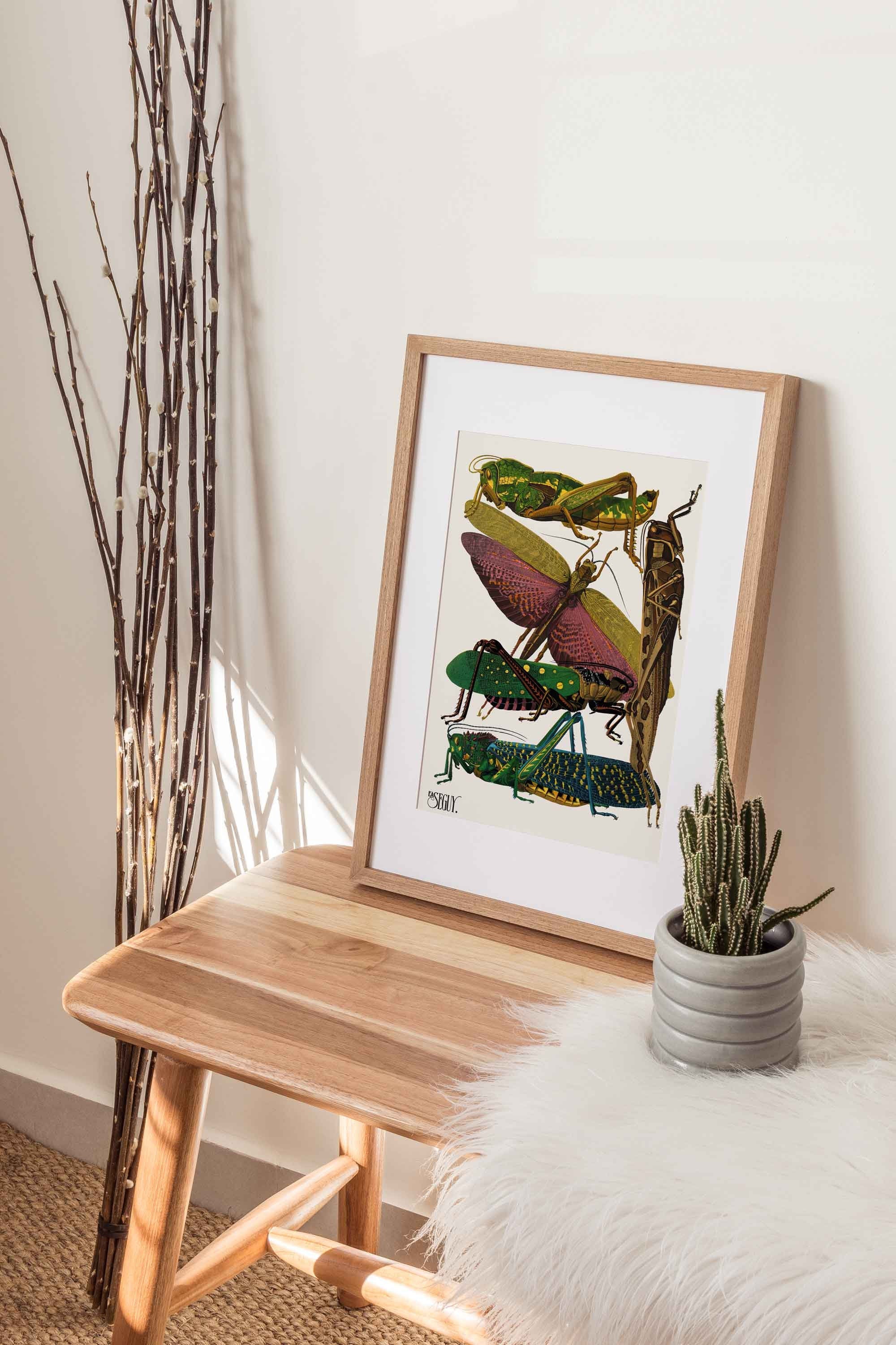 Insects Butterfly Grasshopper - Hartsholme Prints