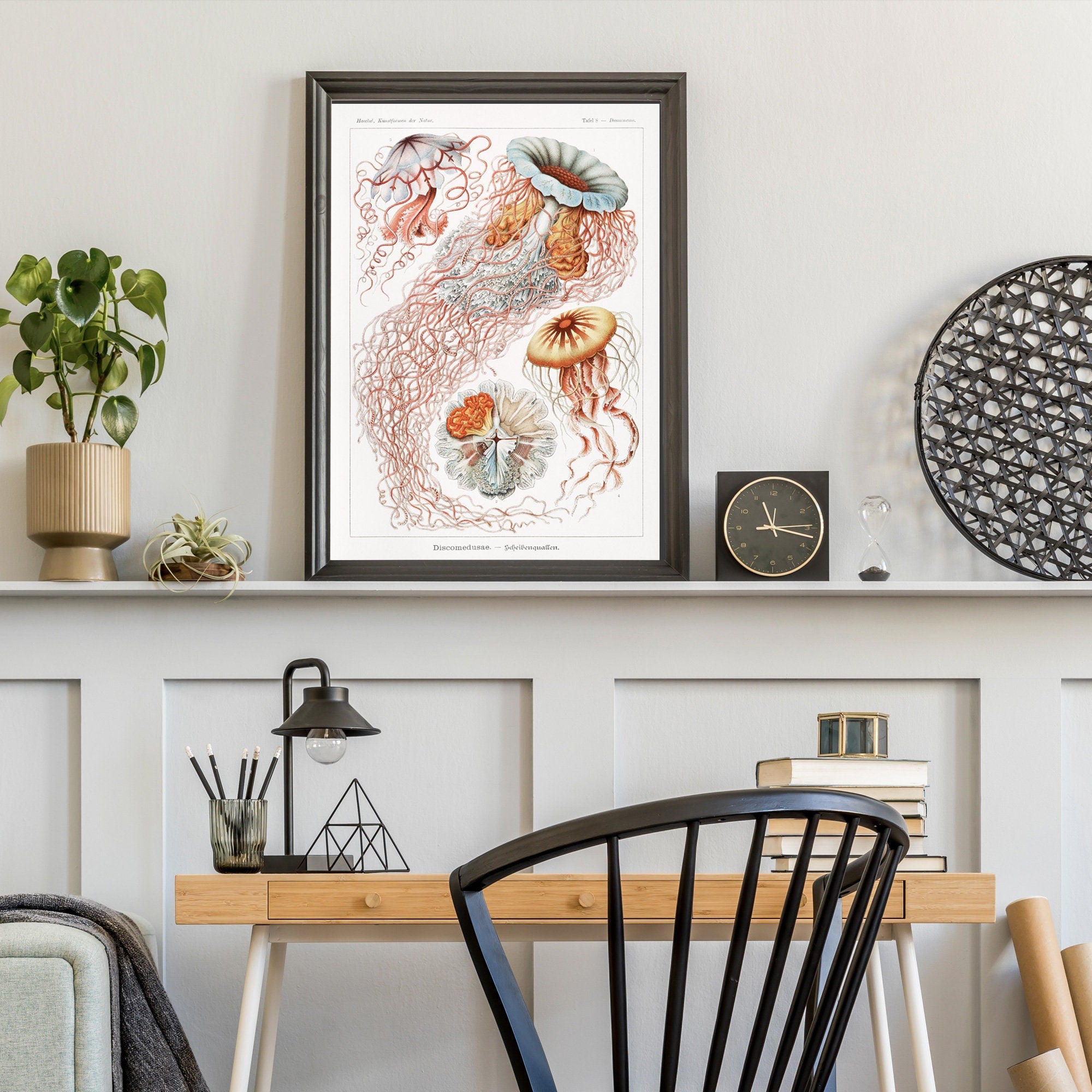 Jellyfish - Hartsholme Prints