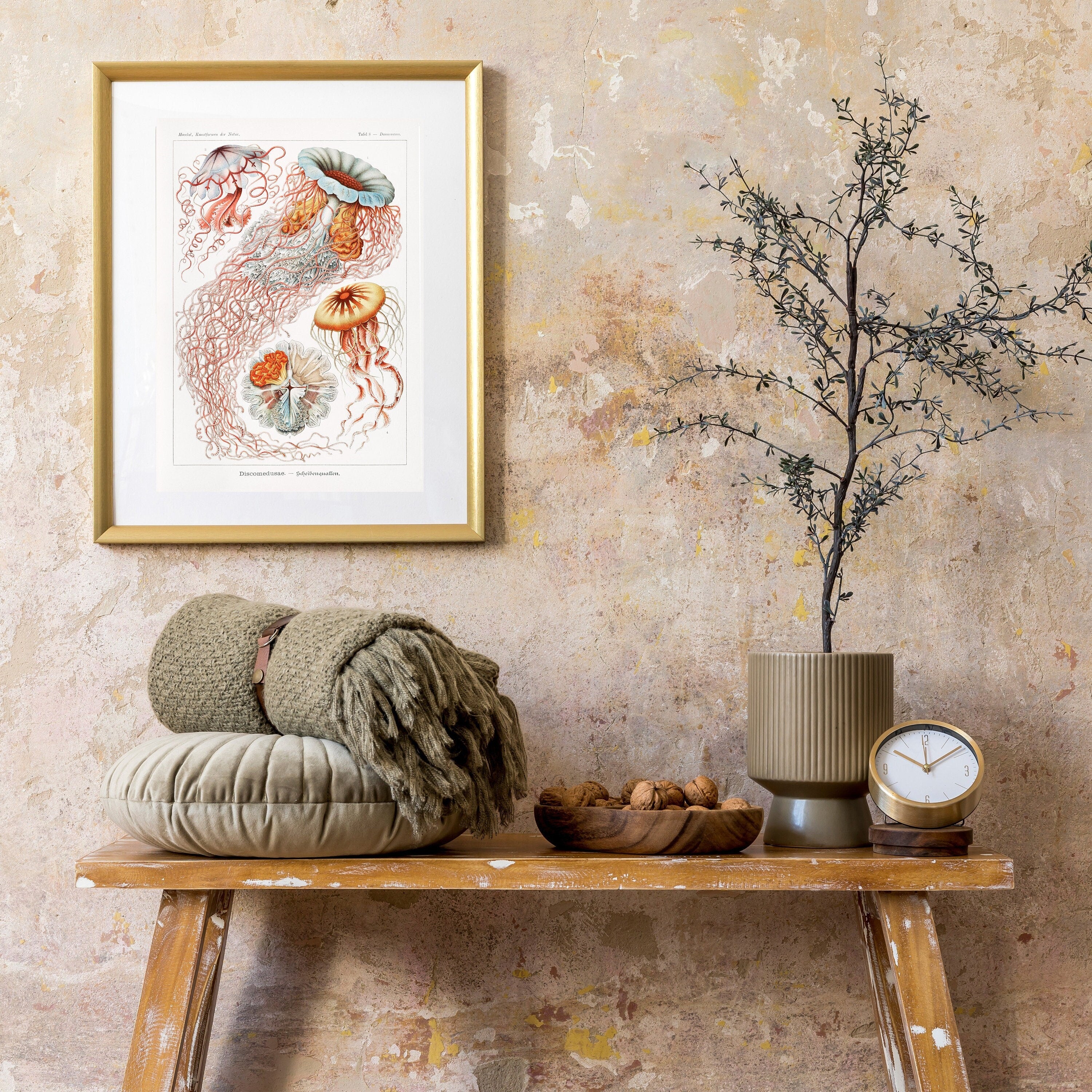 Jellyfish - Hartsholme Prints