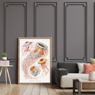 Jellyfish - Hartsholme Prints