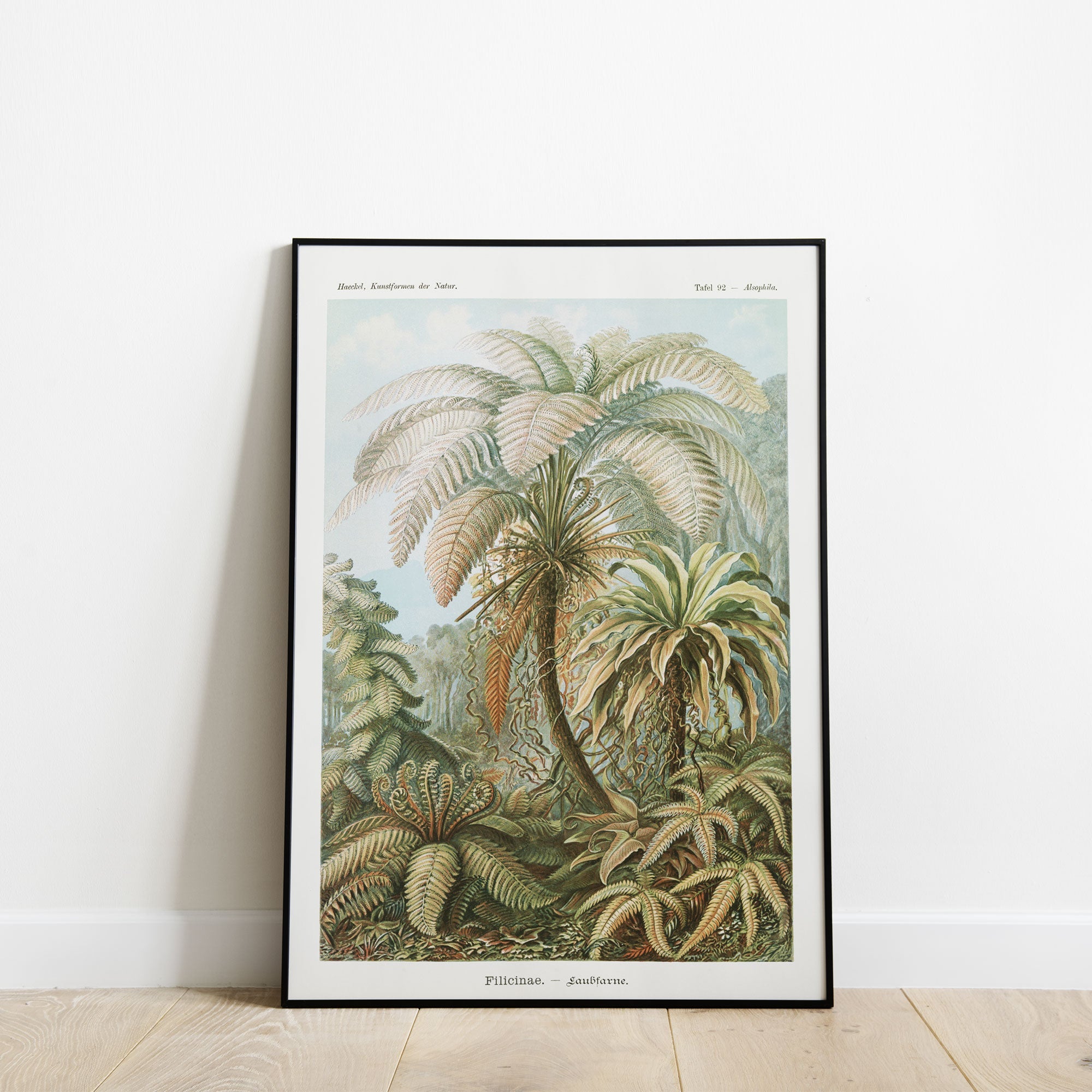 Palm Tree - Hartsholme Prints