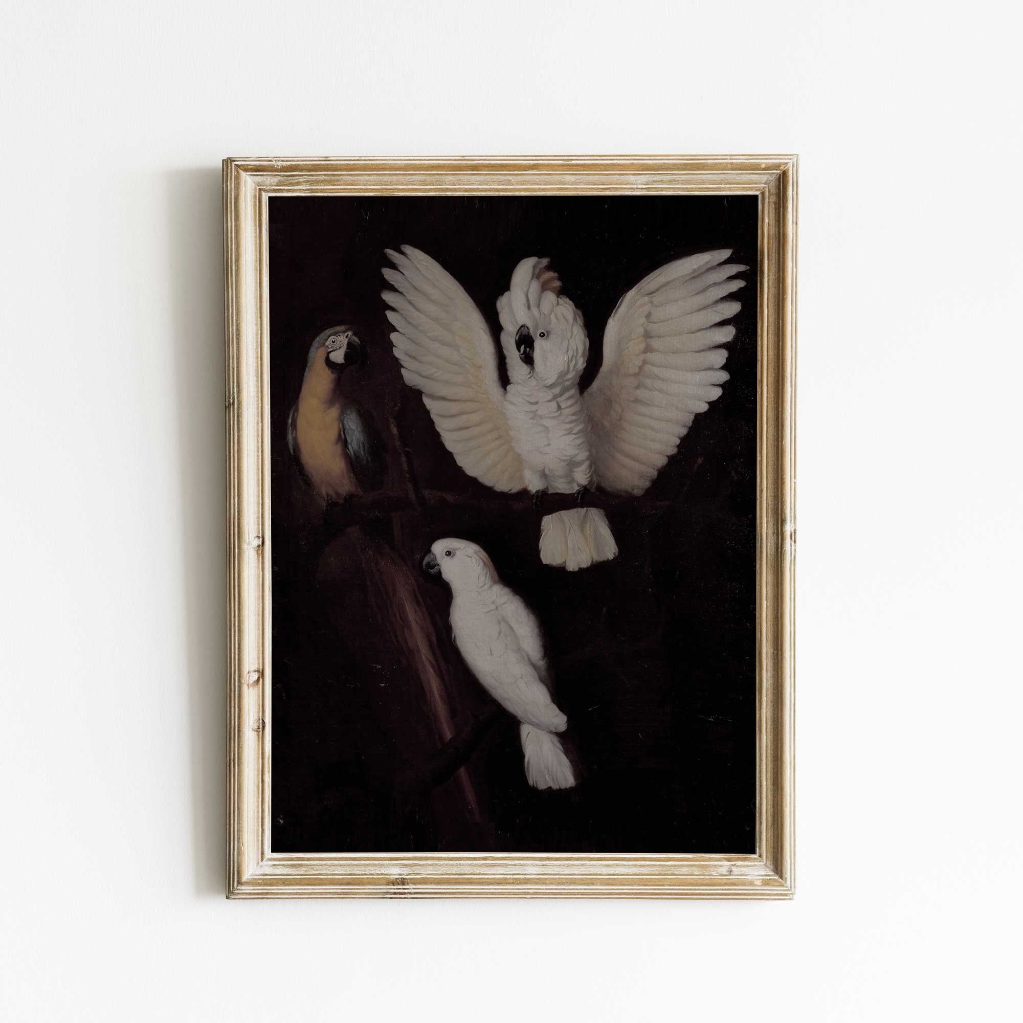 Parrots - Hartsholme Prints