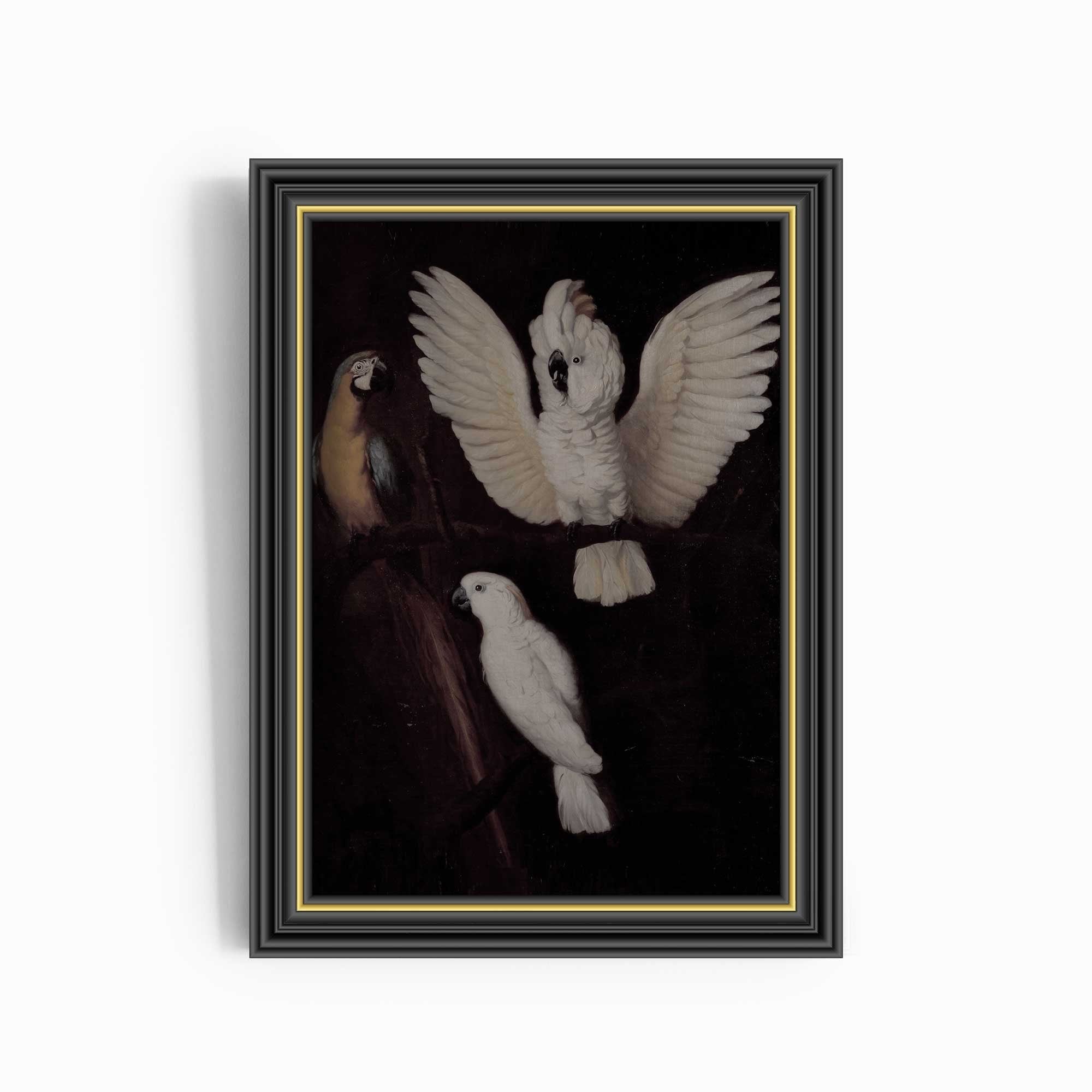 Parrots - Hartsholme Prints