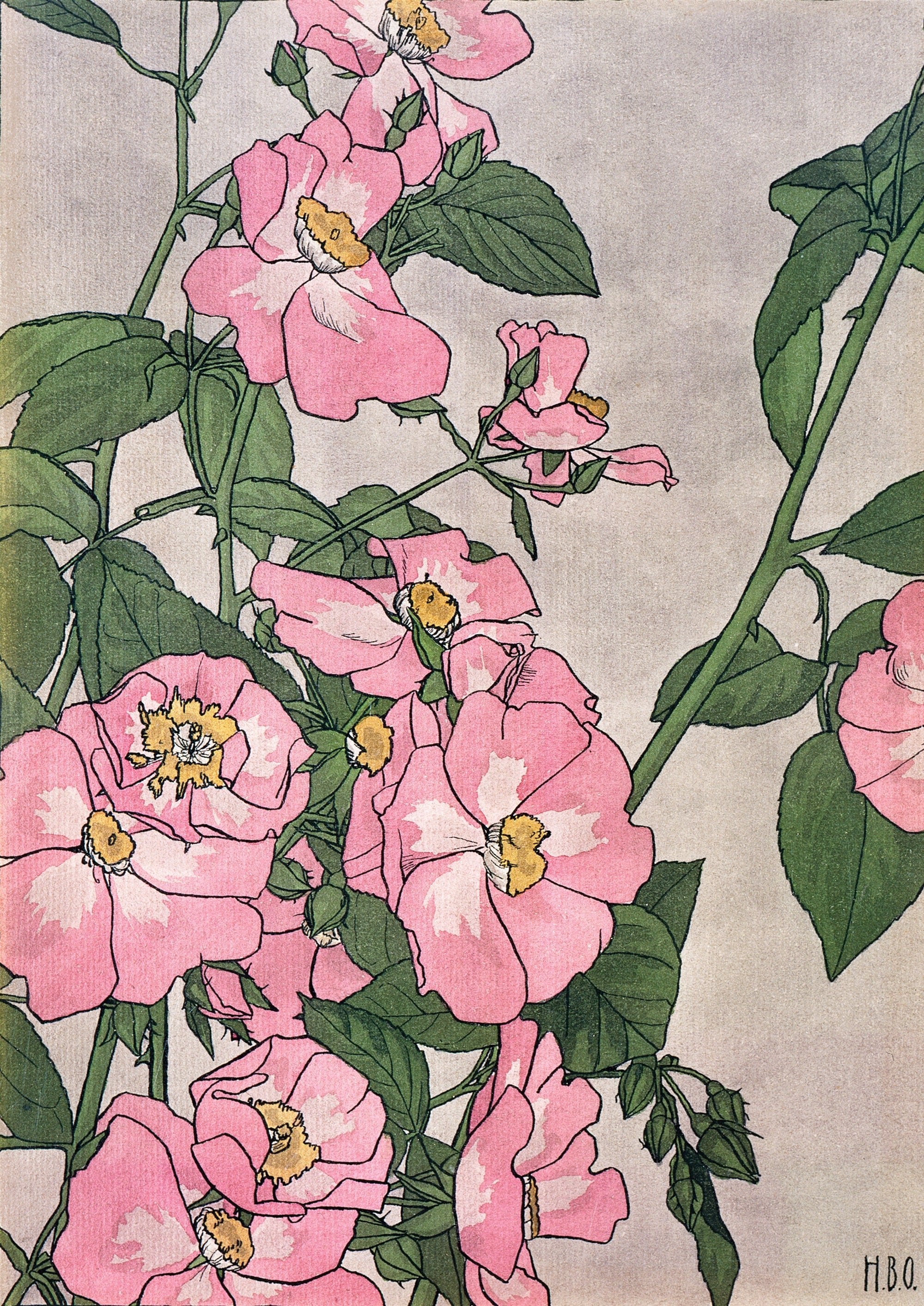 Prairie Rose - Hartsholme Prints