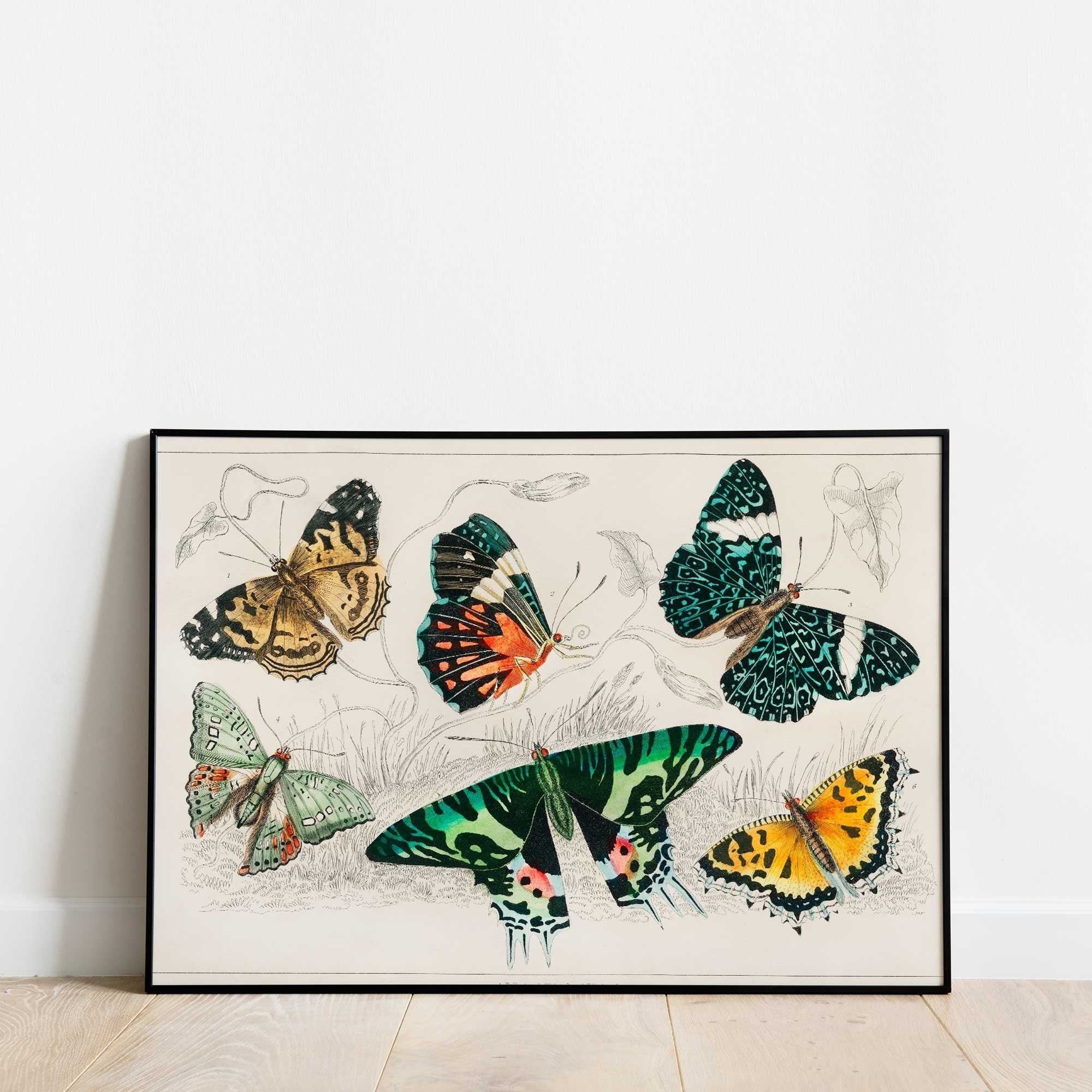 Retro Butterfly - Hartsholme Prints