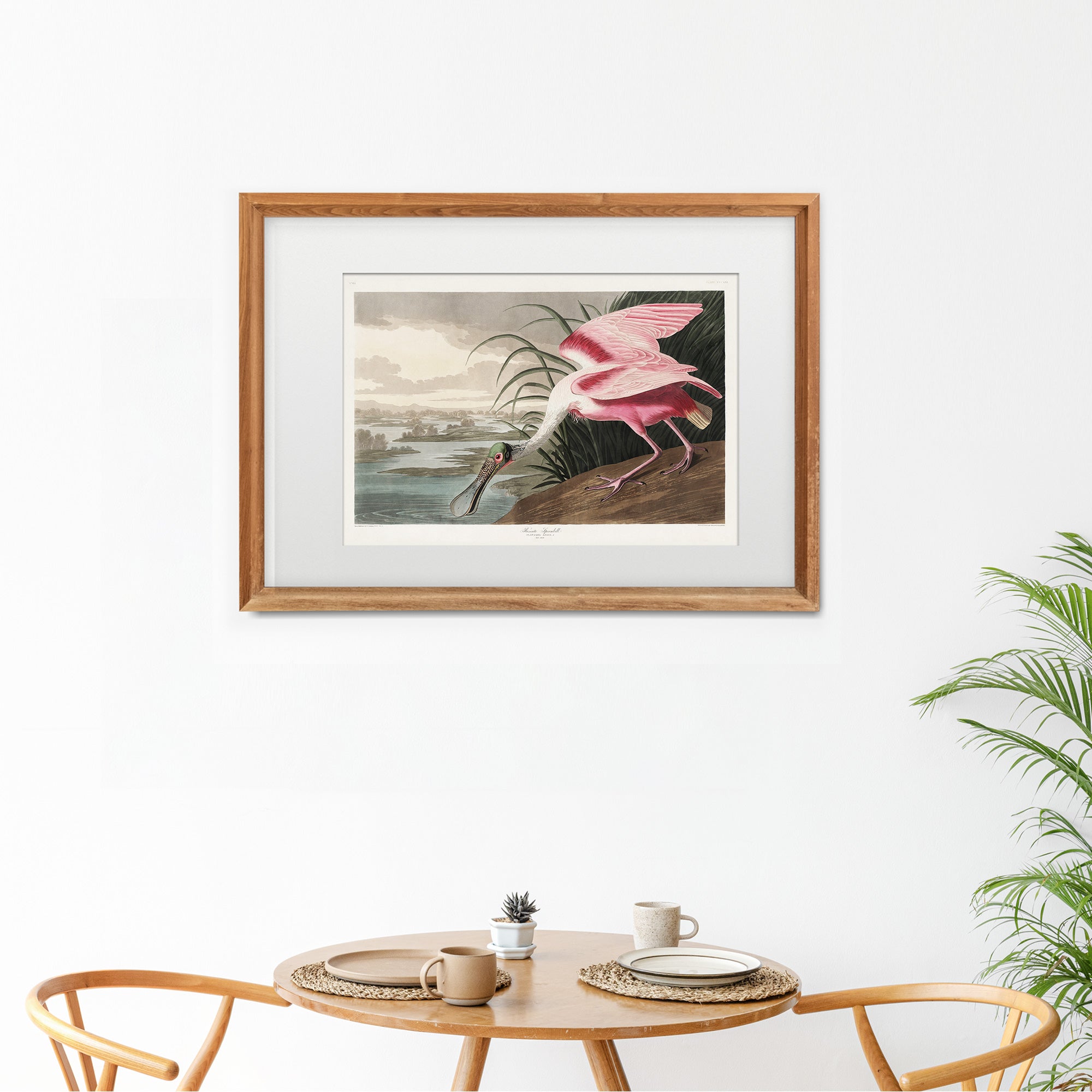 Roseate Spoonbill - Hartsholme Prints