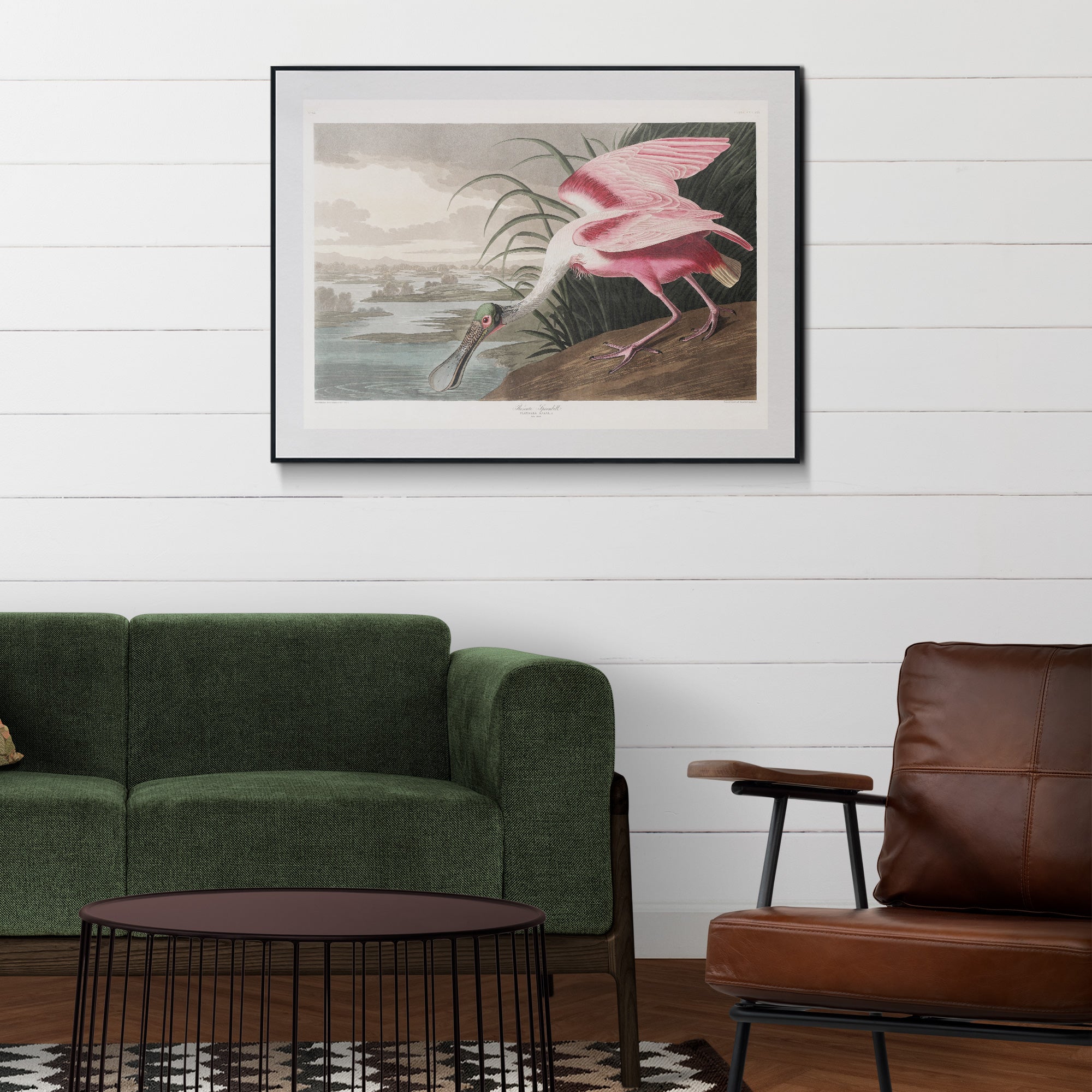 Roseate Spoonbill - Hartsholme Prints