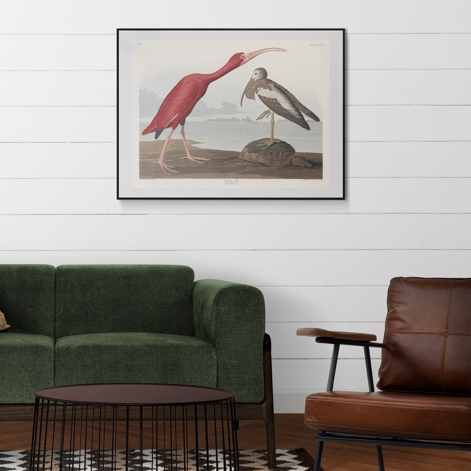 Scarlet Ibis - Hartsholme Prints