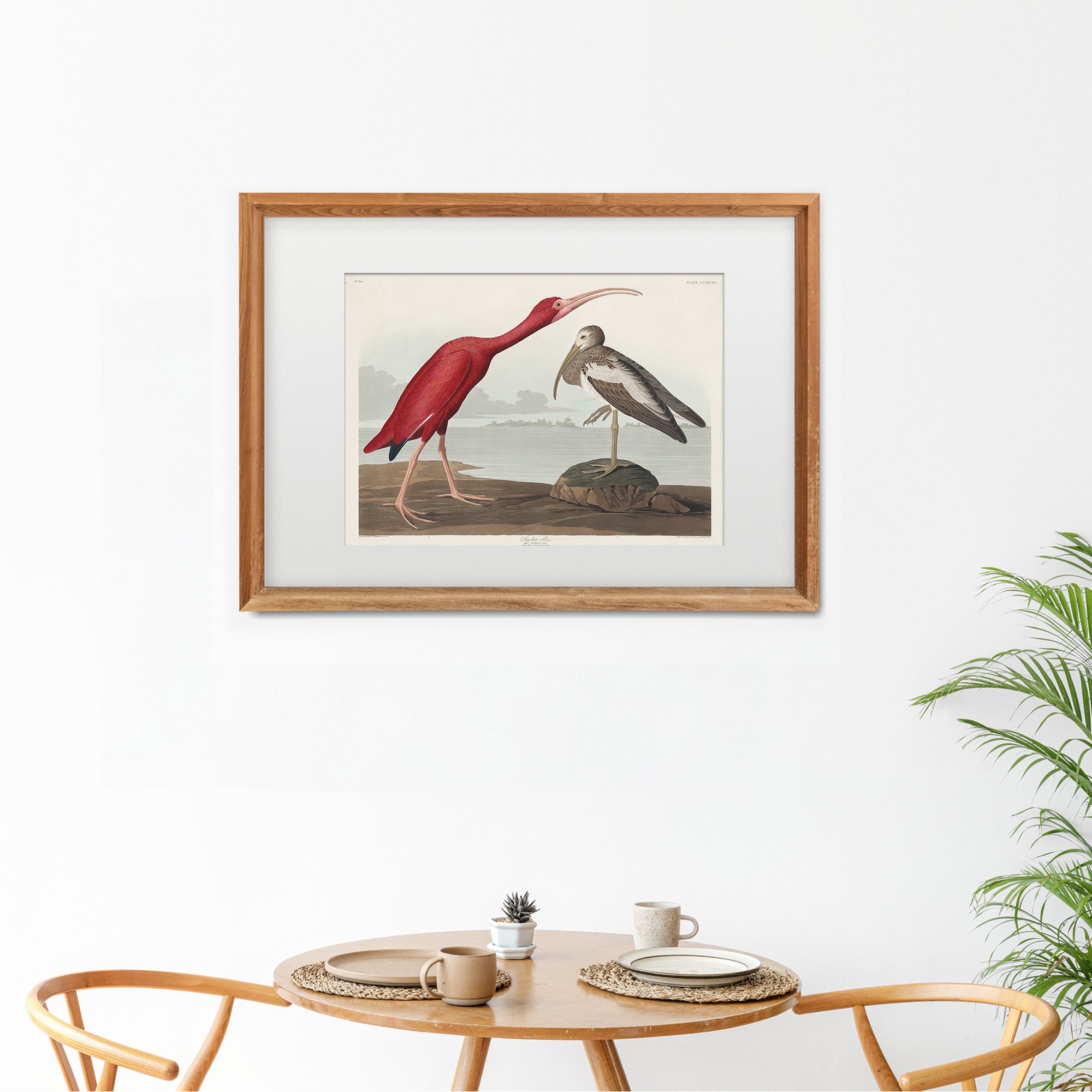 Scarlet Ibis - Hartsholme Prints