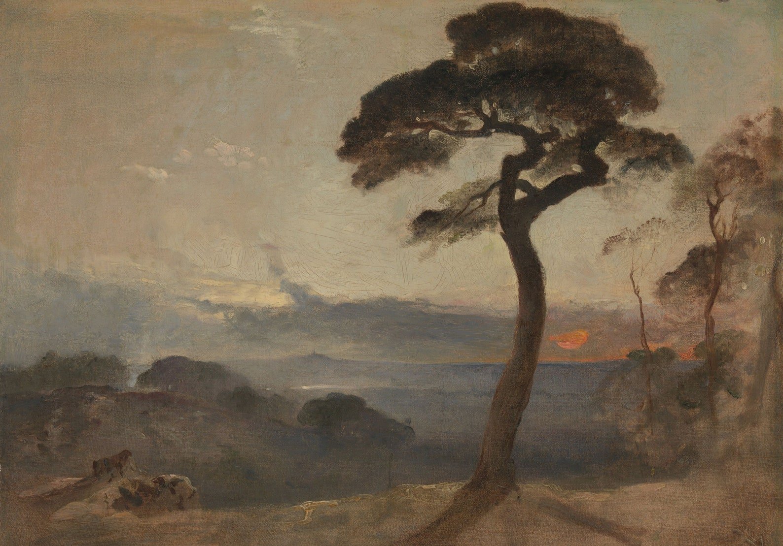 Seaside Landscape with Majestic Tree Print - Hartsholme Prints